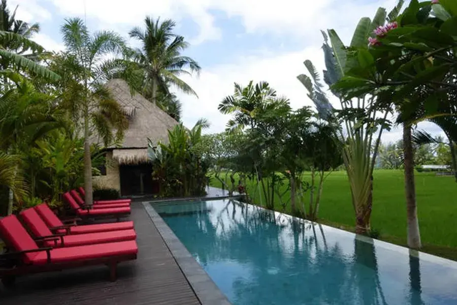 Swimming Pool in Bali Harmony Villa