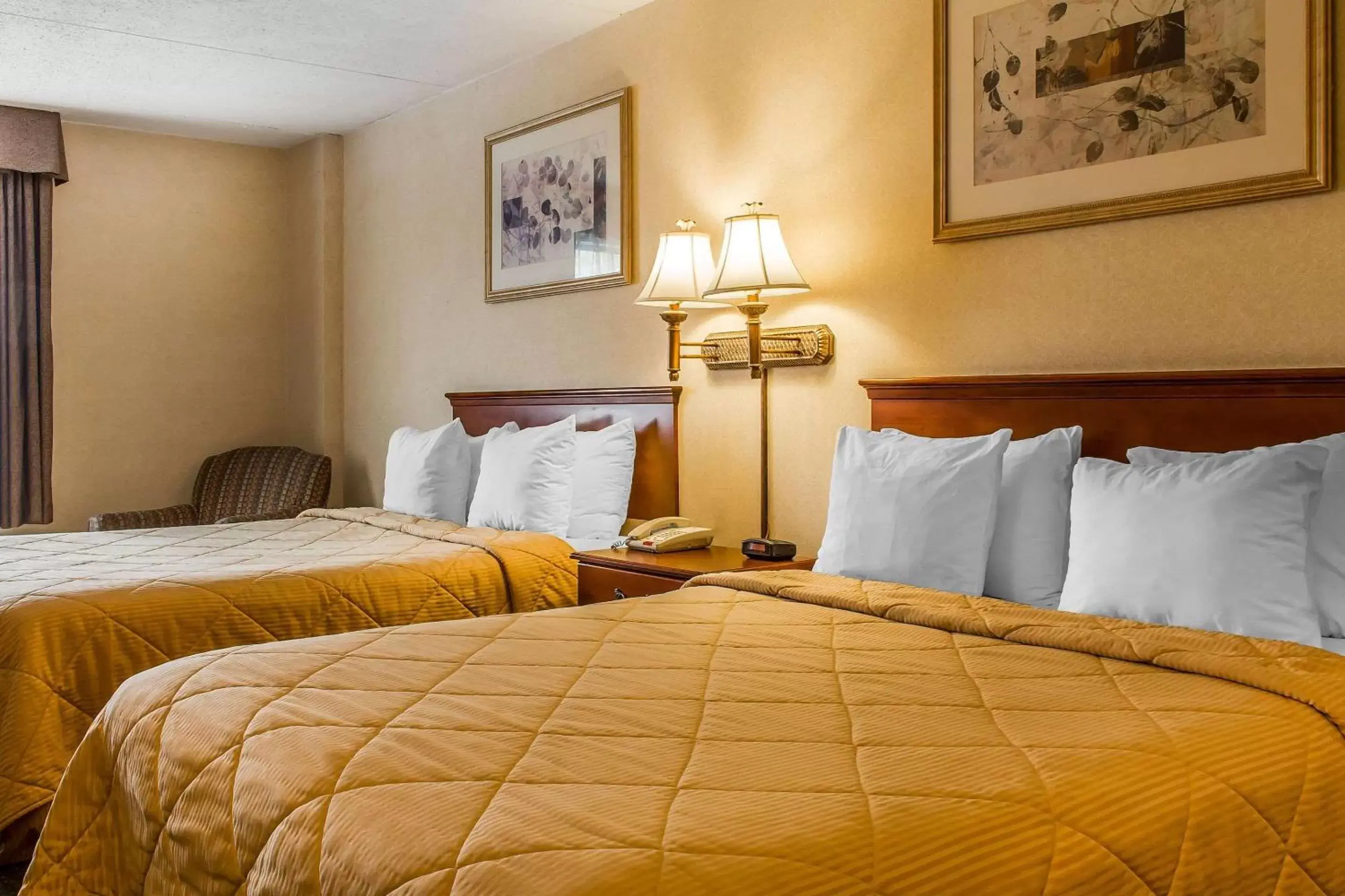 Photo of the whole room, Bed in Quality Inn Hackettstown - Long Valley