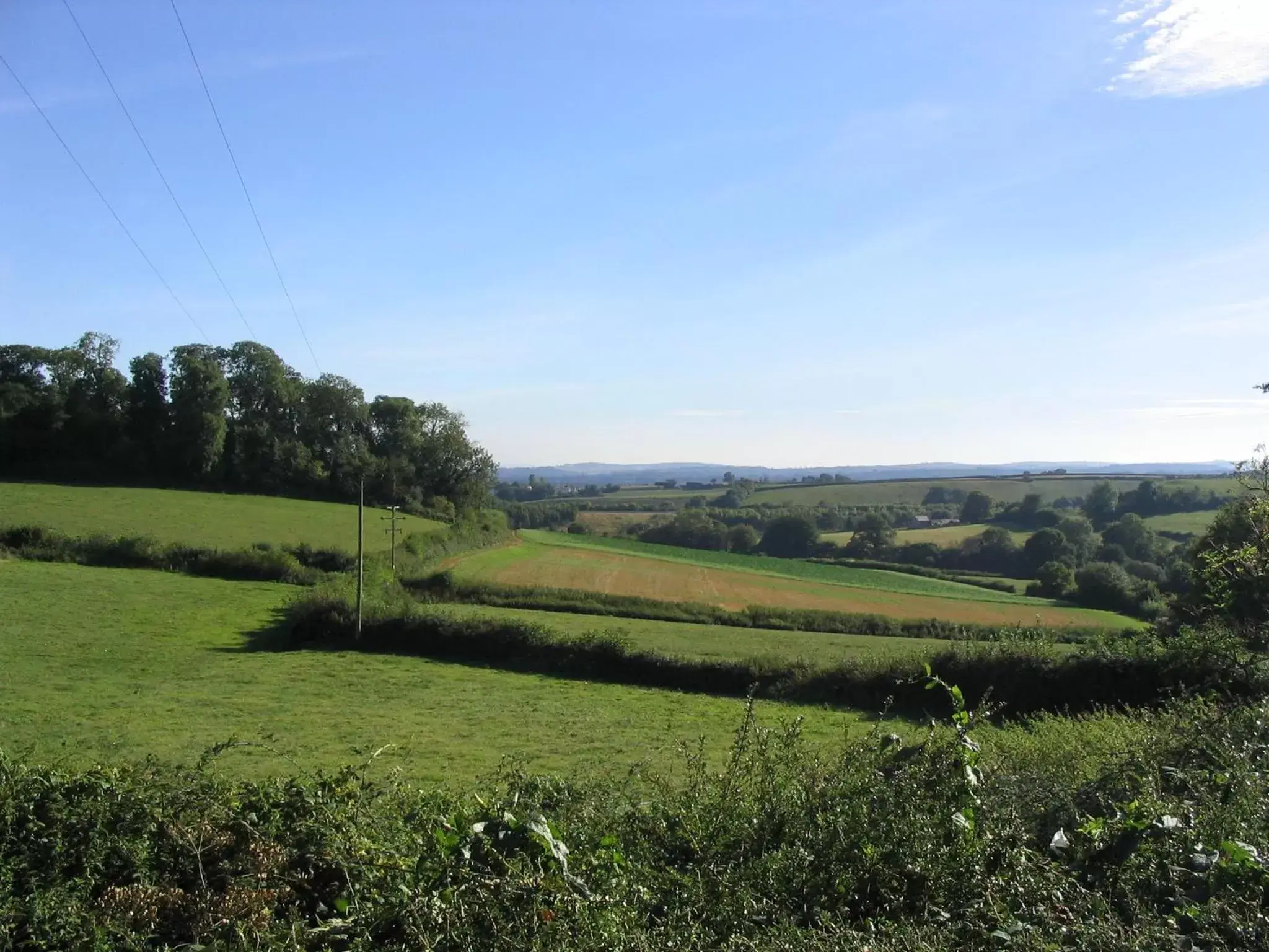 Natural landscape in Brambles Bed and Breakfast