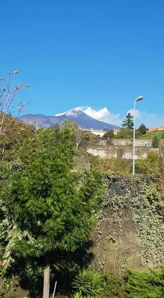 View (from property/room) in B&B BOUTIQUE DI CHARME "ETNA-RELAX-NATURA"