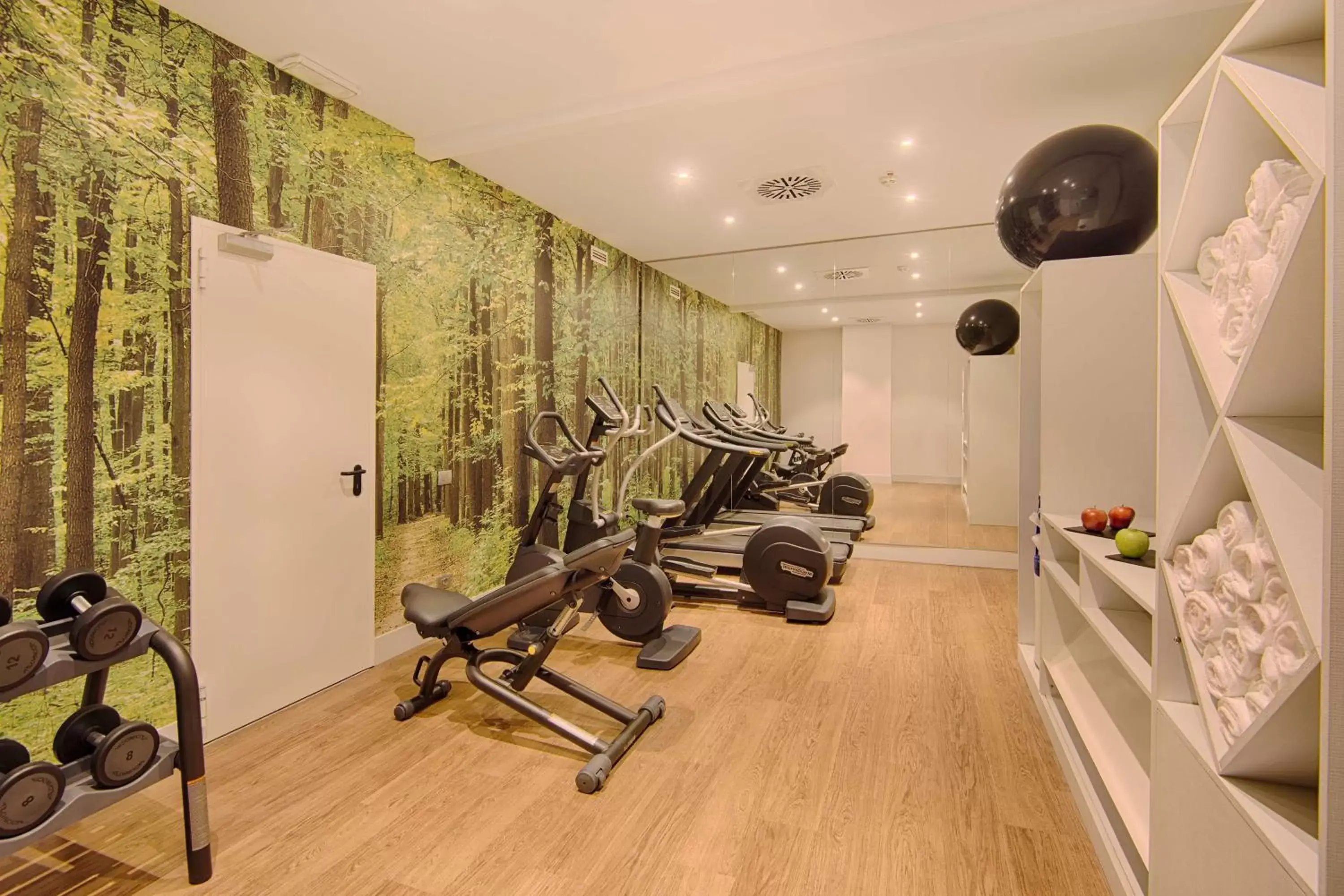 Fitness centre/facilities, Fitness Center/Facilities in NH Torino Centro