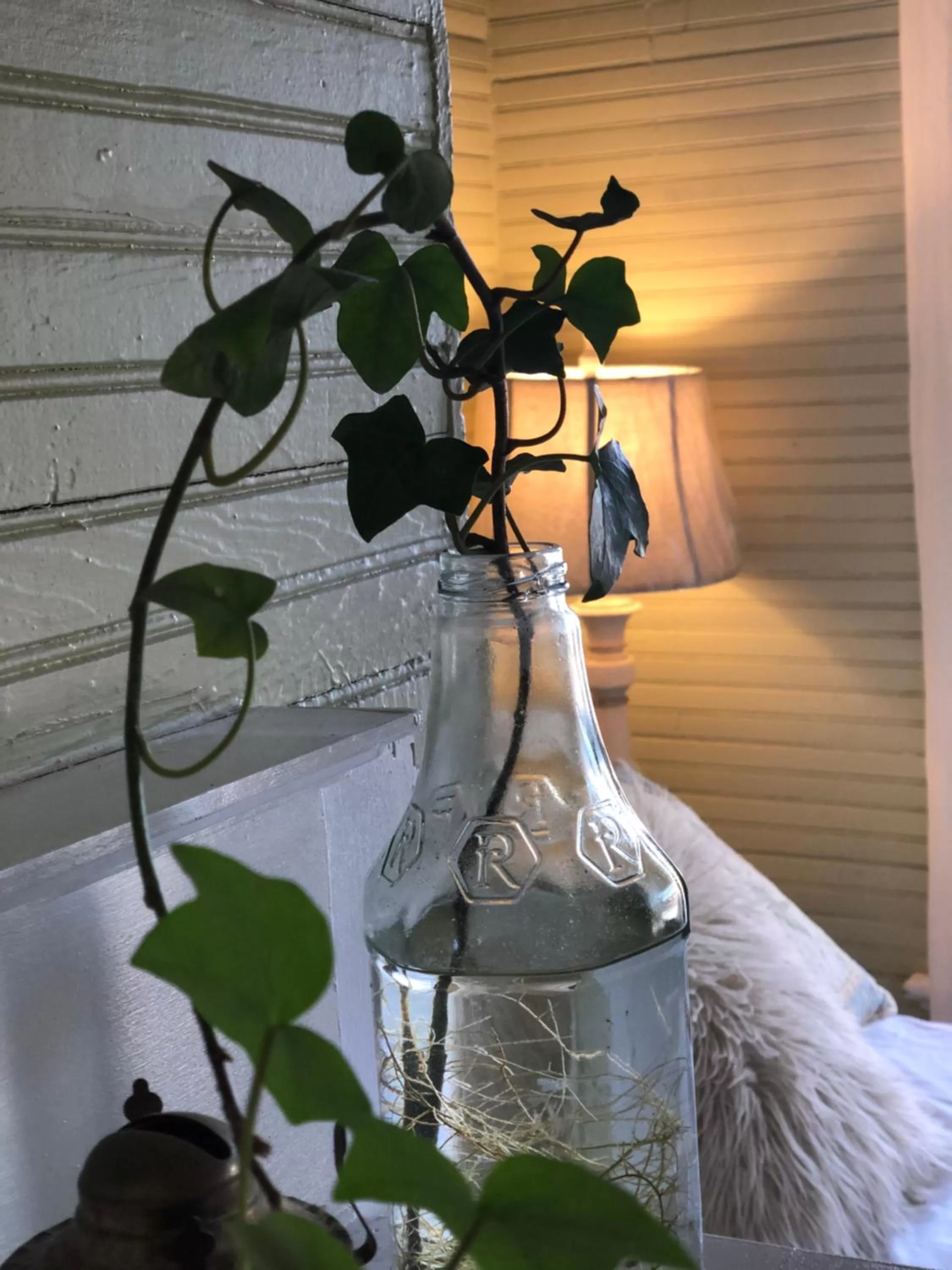 Belton Bed and Breakfast