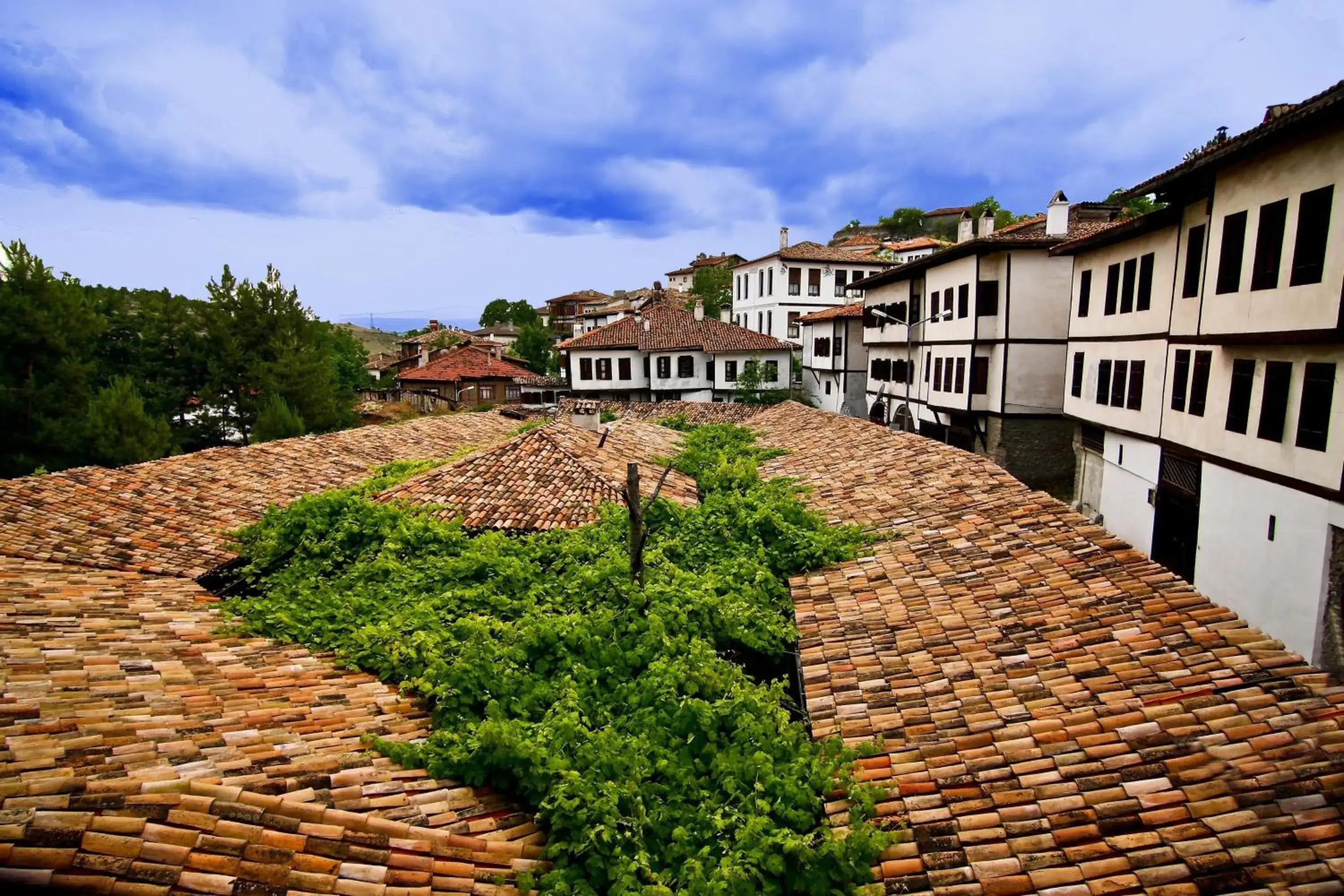 View (from property/room), Neighborhood in Baglar Saray Hotel