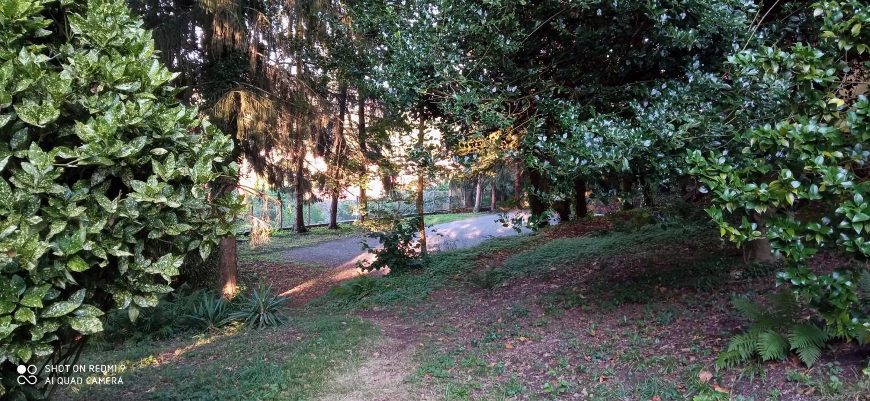 View (from property/room), Garden in Logis Vélès