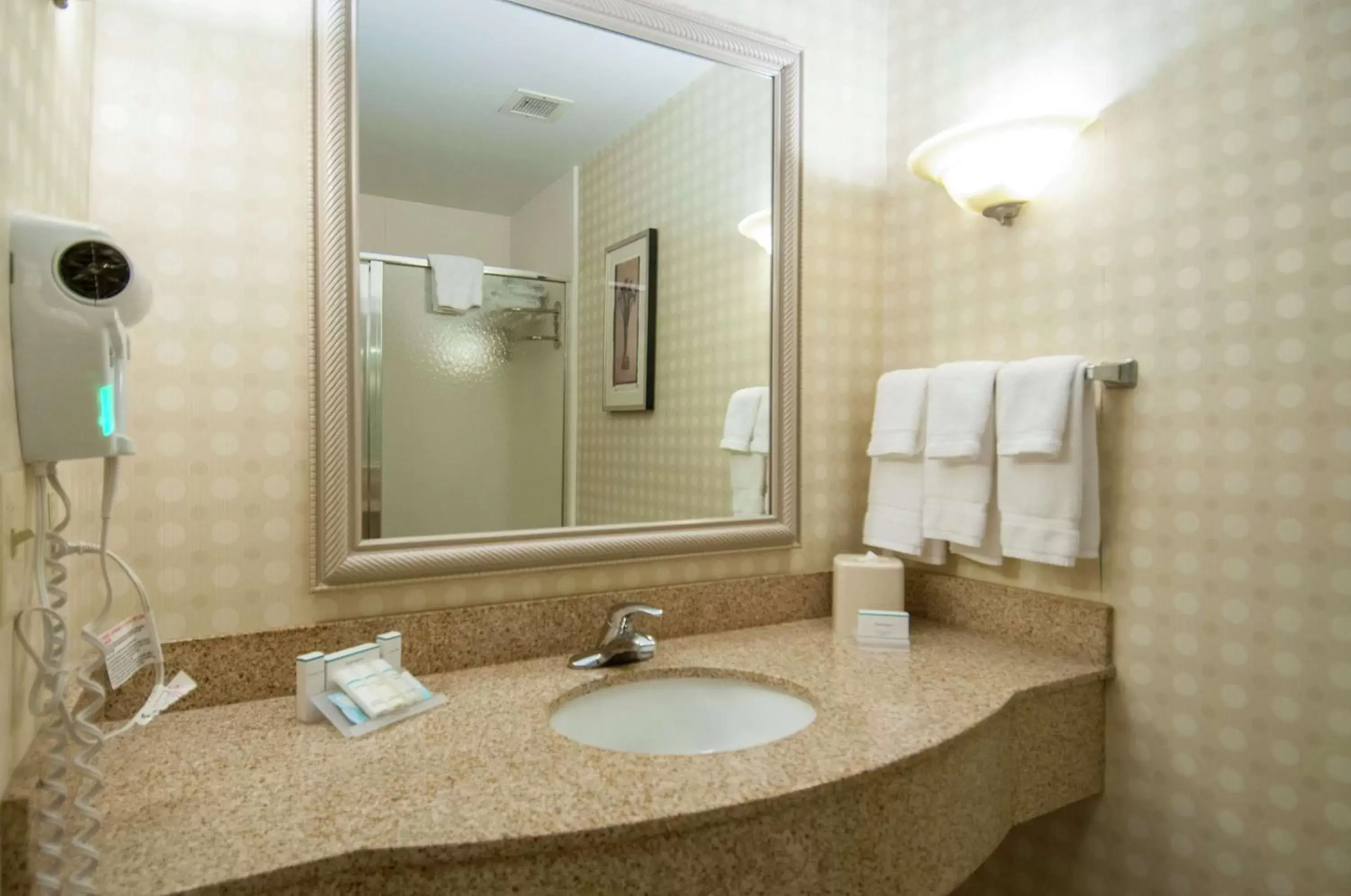 Bathroom in Hilton Garden Inn Jackson/Pearl