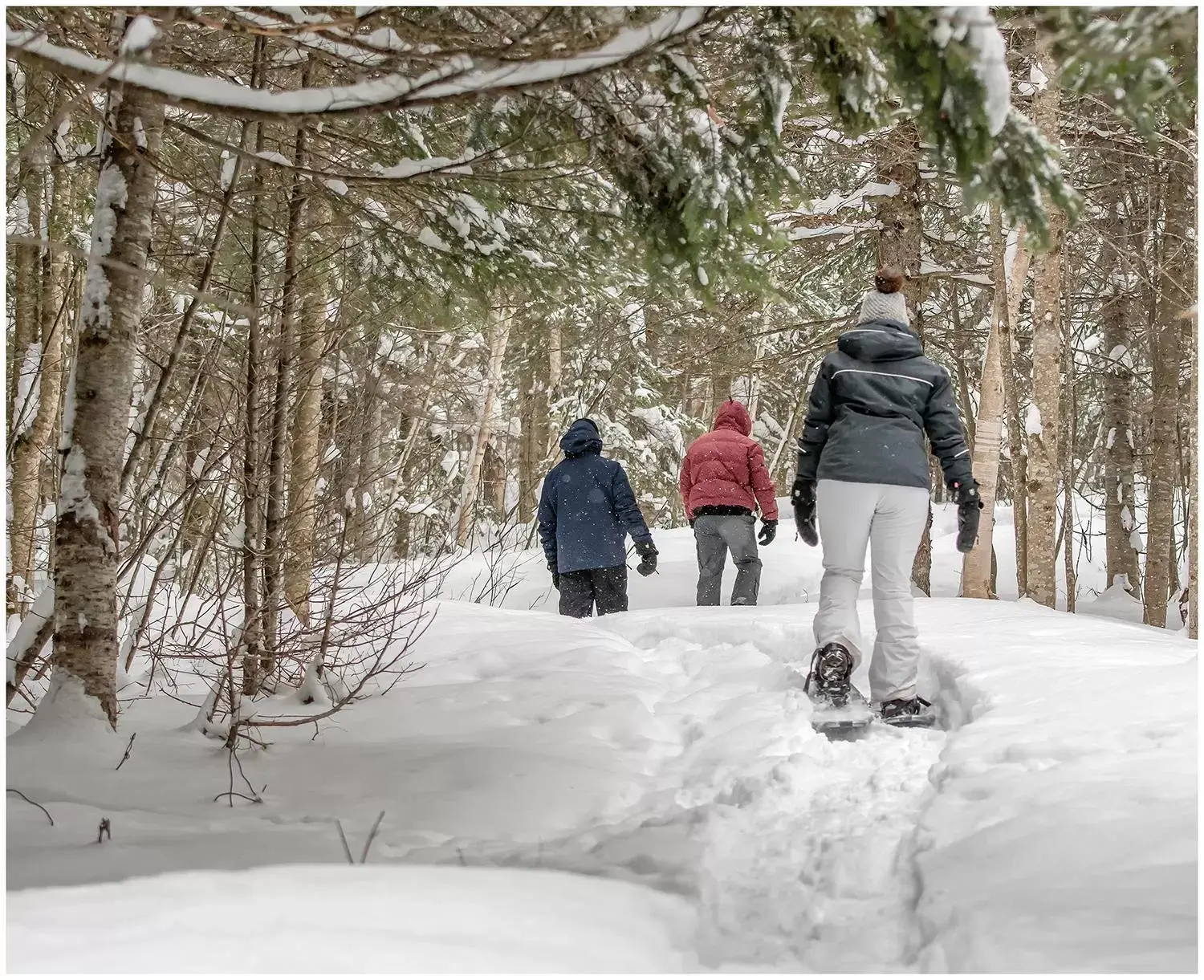 Winter in Camping Chalets Spas Pignons Rouges