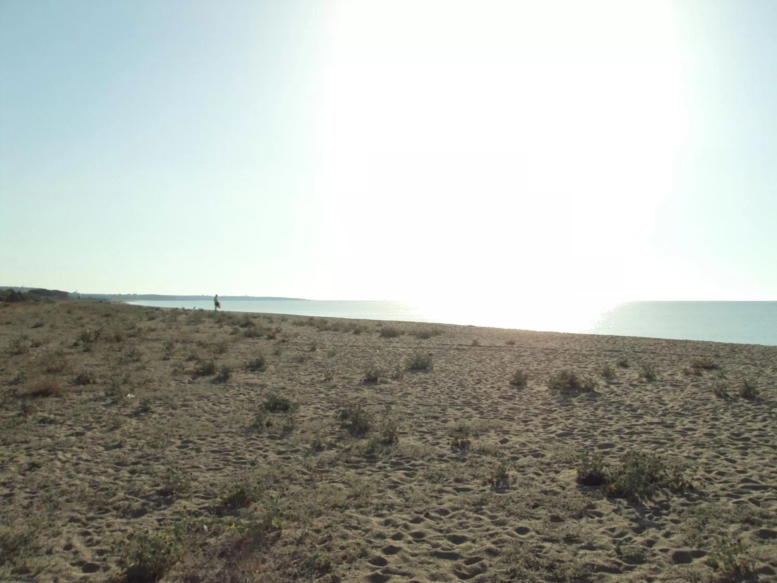 Beach in Hotel Su Barchile