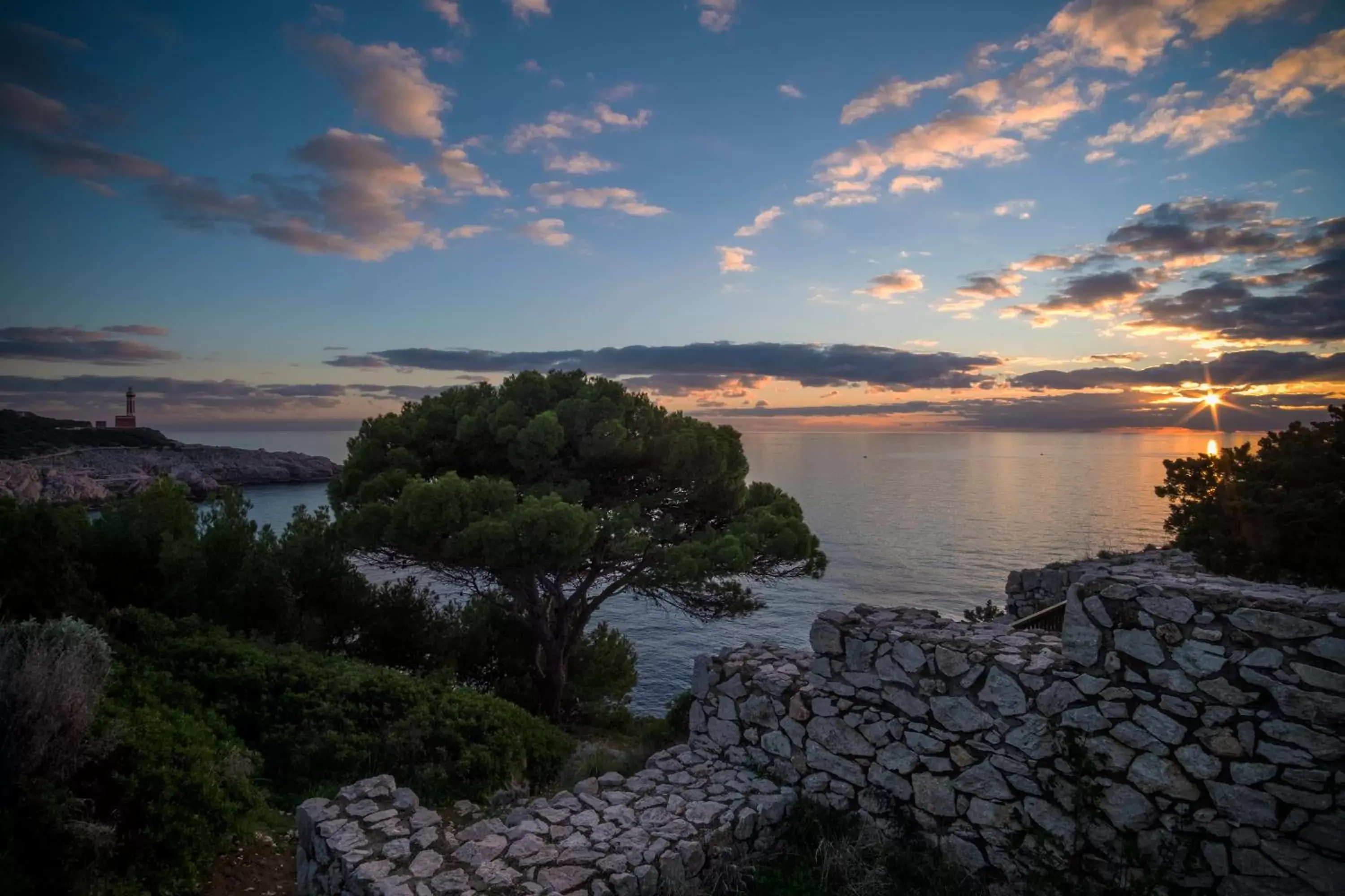 Fortino B&B Capri