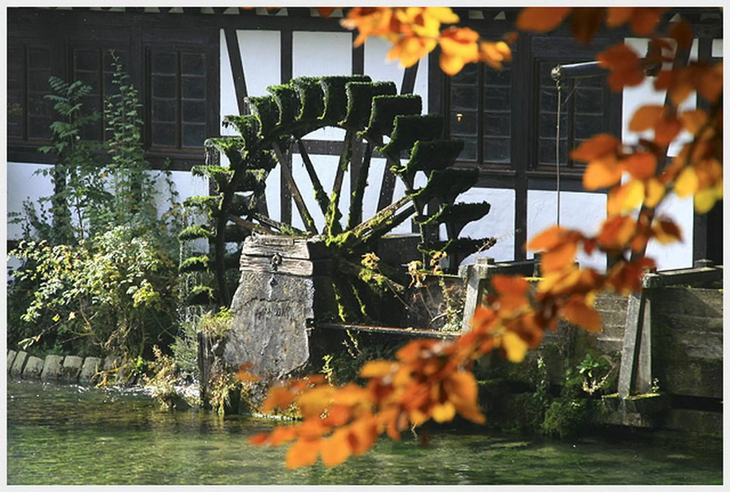 Area and facilities in Hotel-Restaurant Ochsen