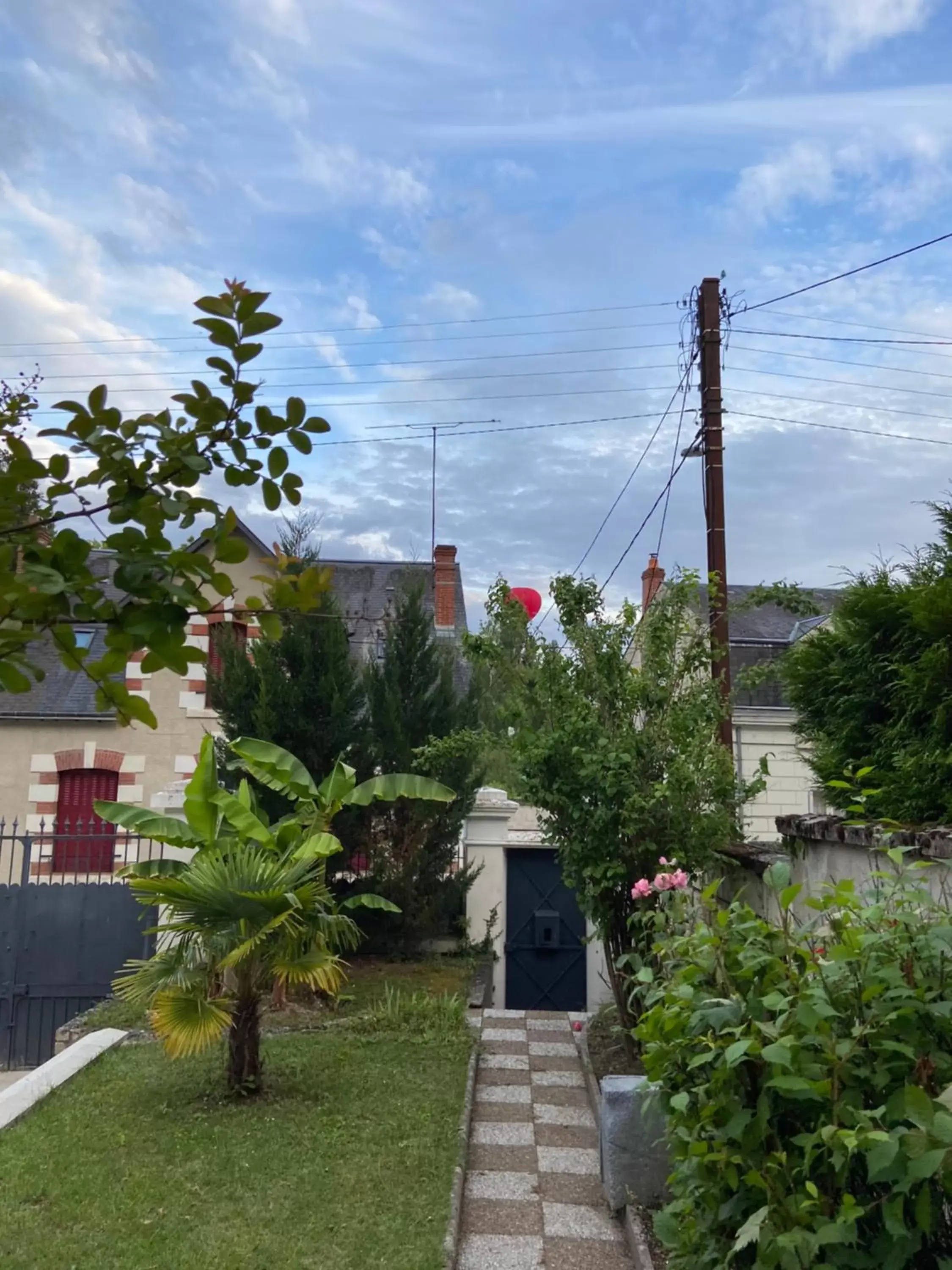 Garden view in Les Rives du Cher - Chambres d'hôtes