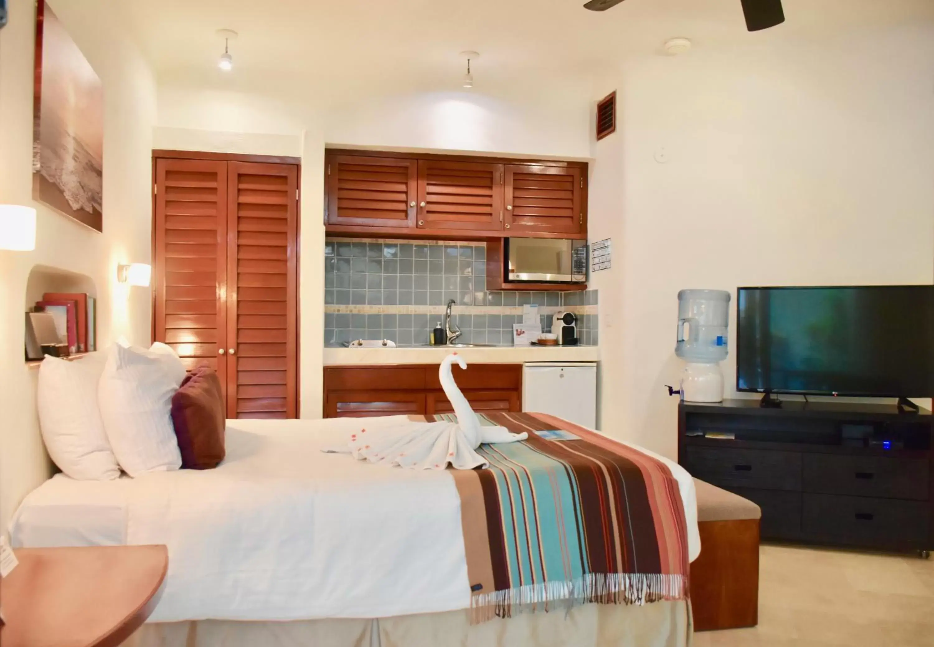 TV and multimedia in Playa Palms Beach Hotel