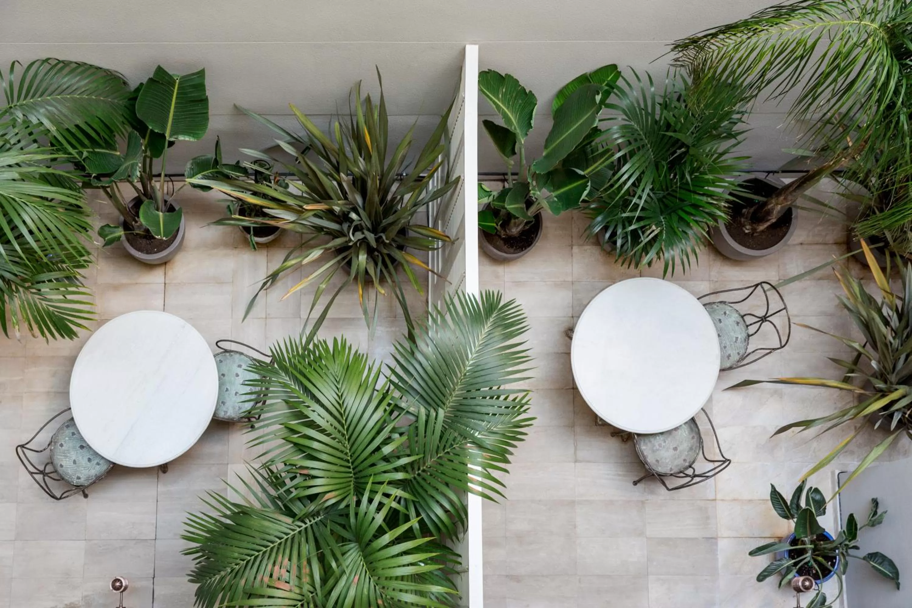 Balcony/Terrace in Hotel Midmost by Majestic Hotel Group