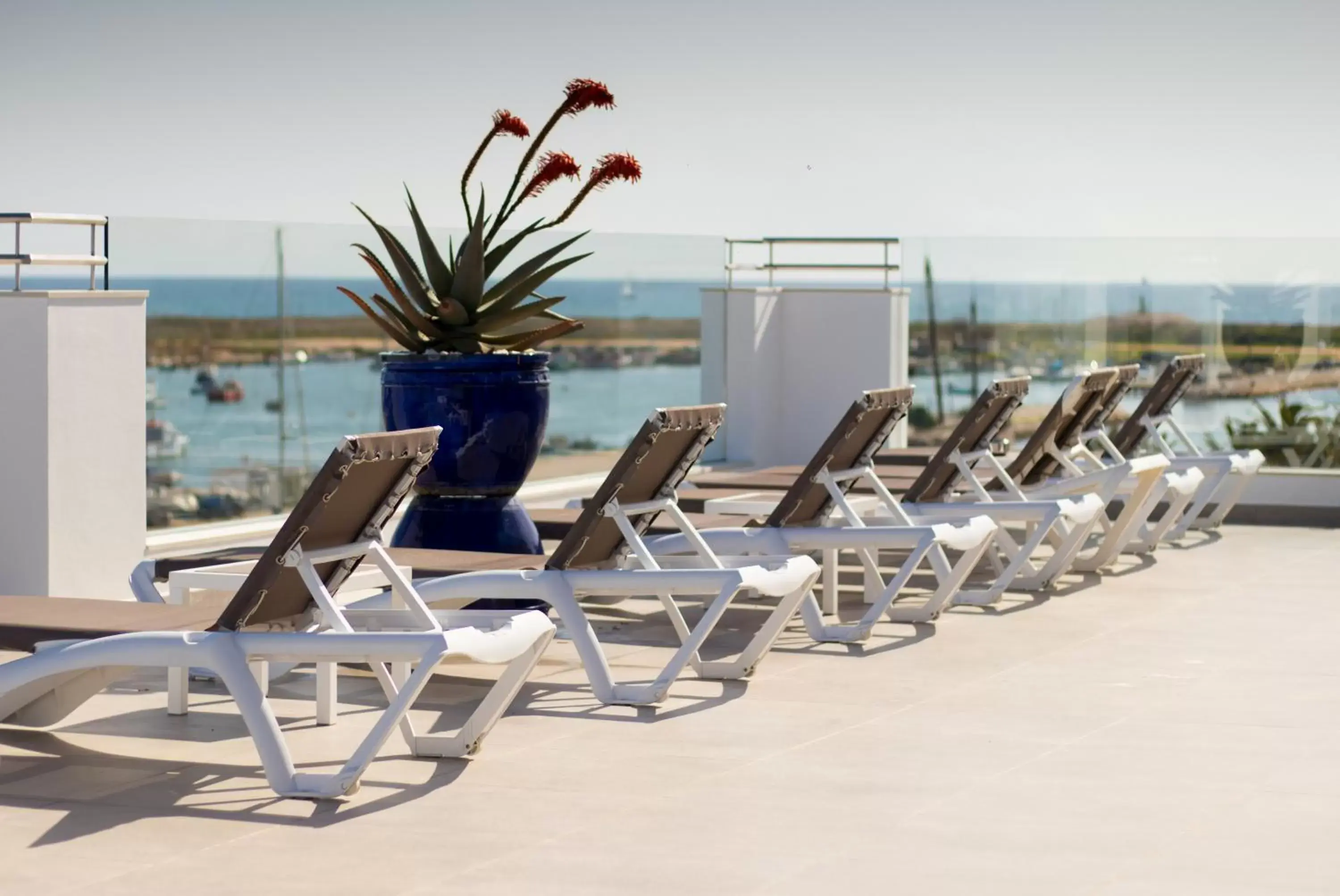 Balcony/Terrace, Swimming Pool in Hotel Marina Rio