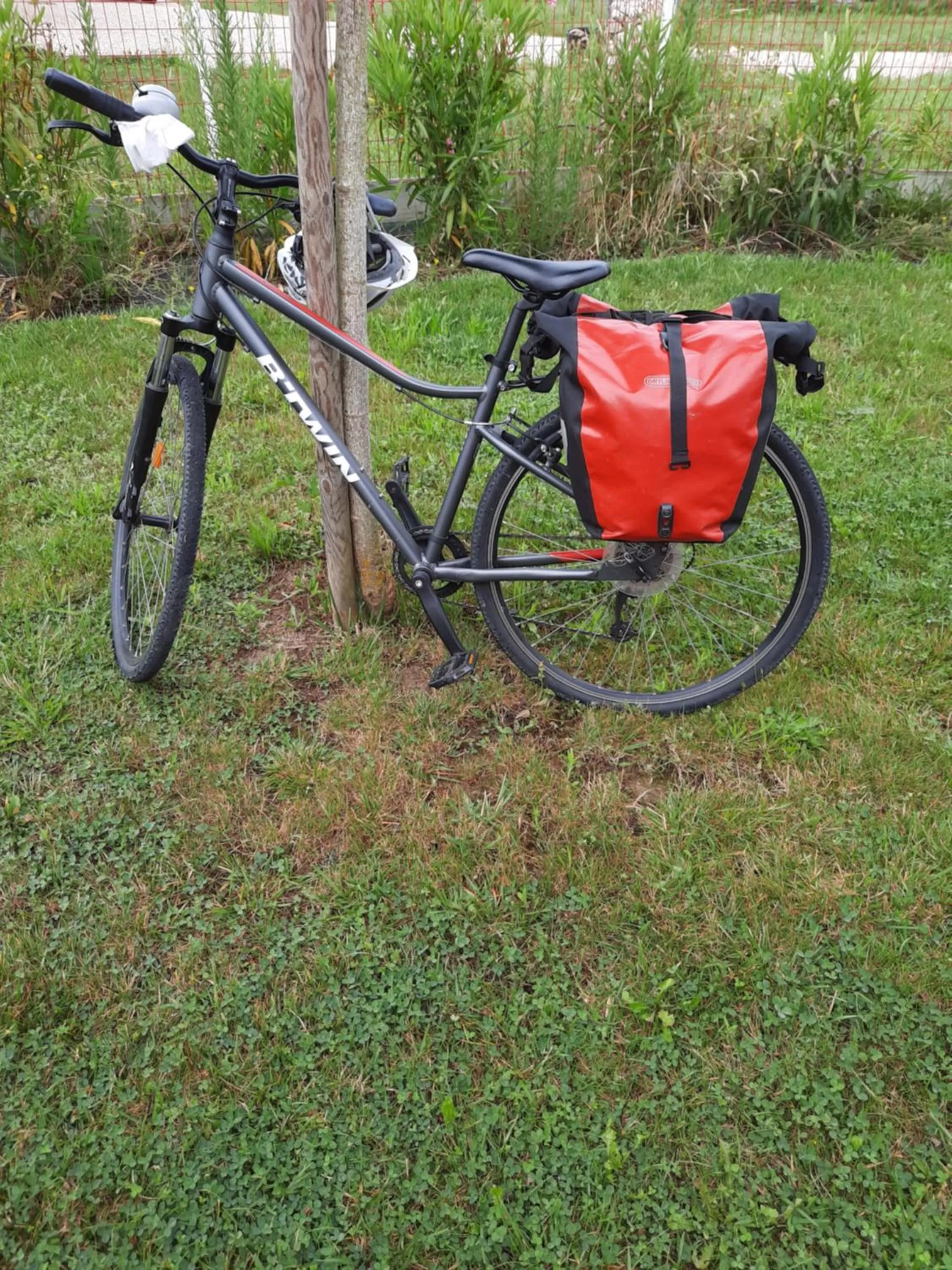 Activities in La Garona