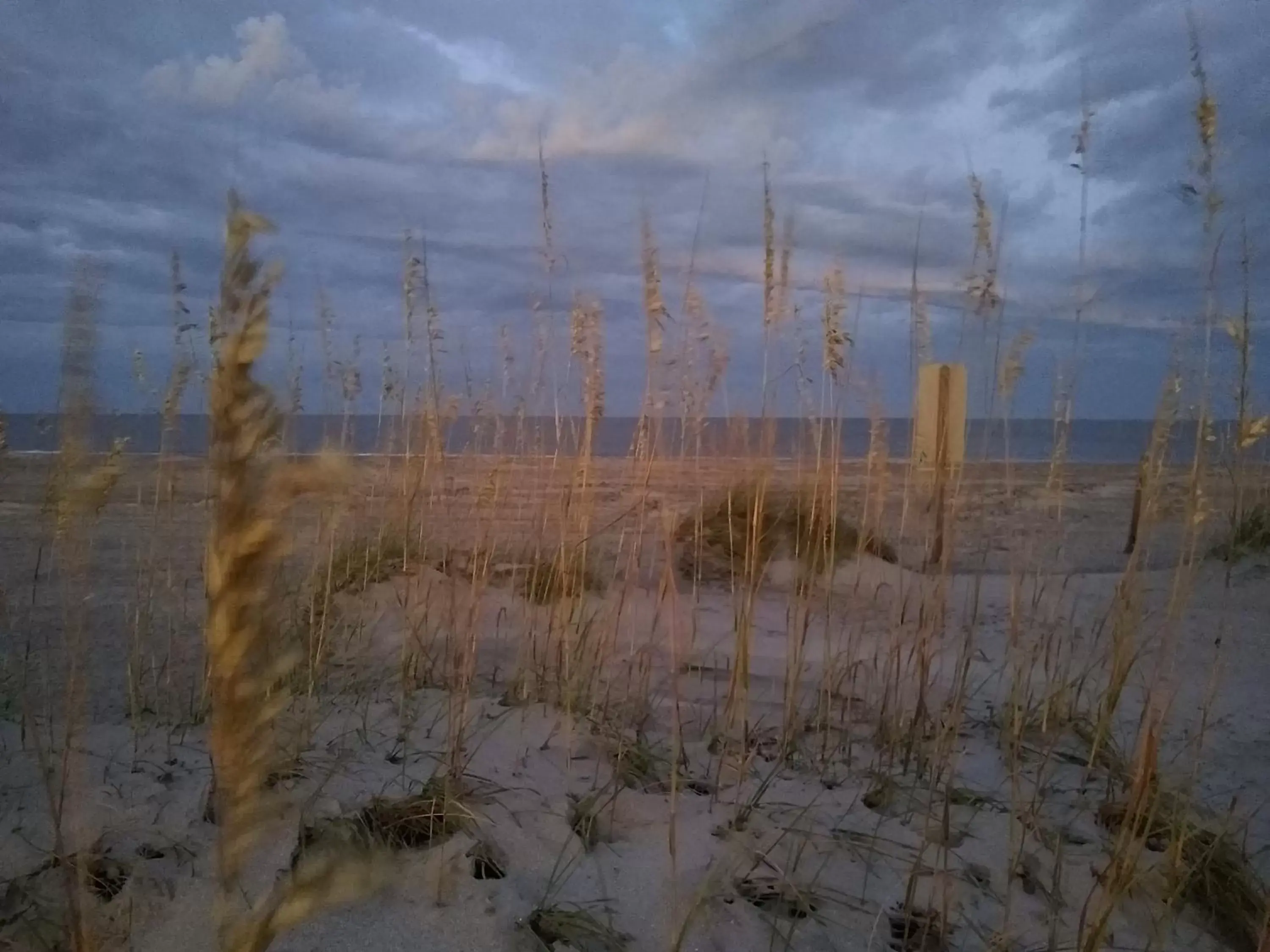 Natural landscape in Surf Song Bed & Breakfast Natural landscape in Surf Song Bed & Breakfast