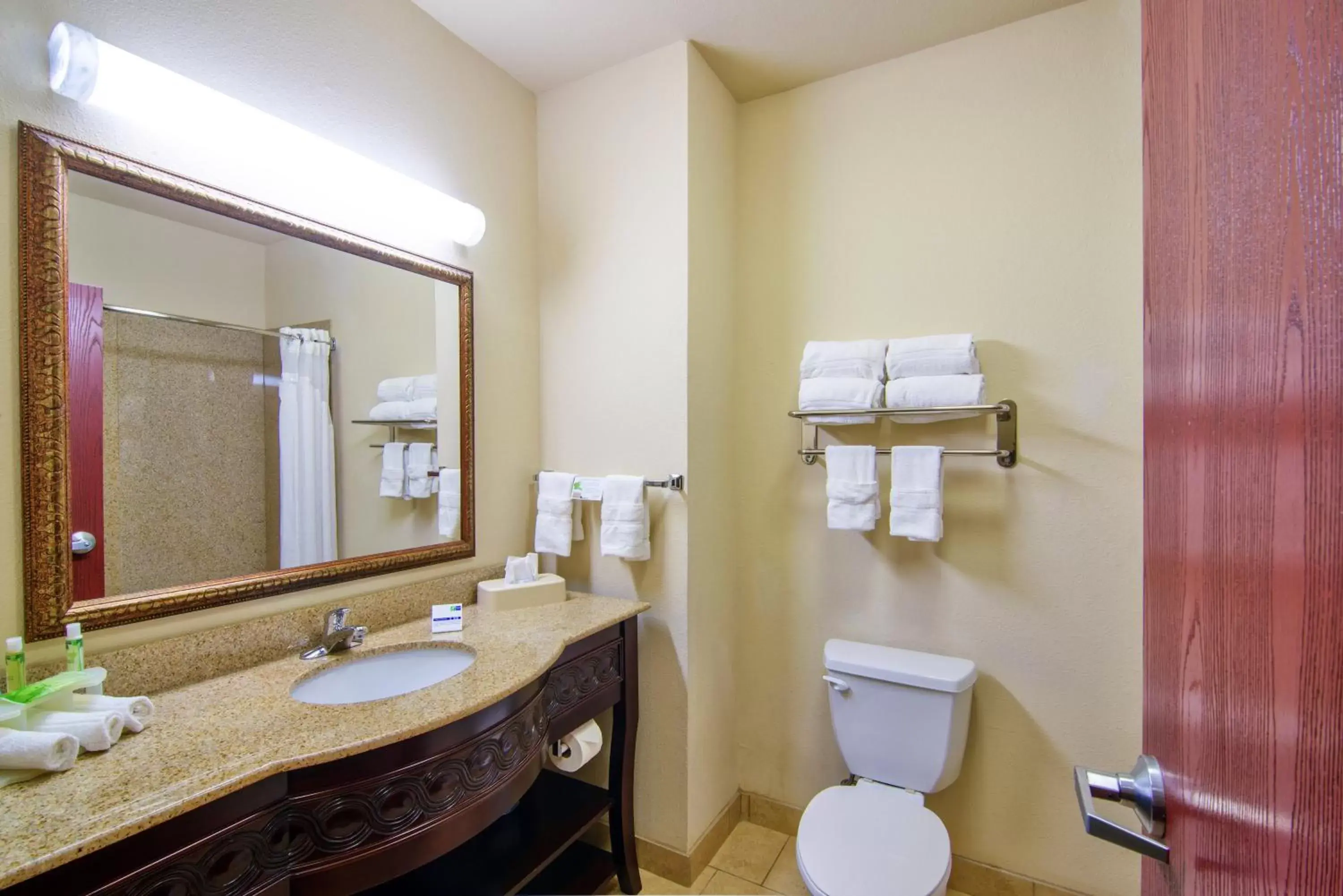 Bathroom in Holiday Inn Express Hotel & Suites Terrell, an IHG Hotel