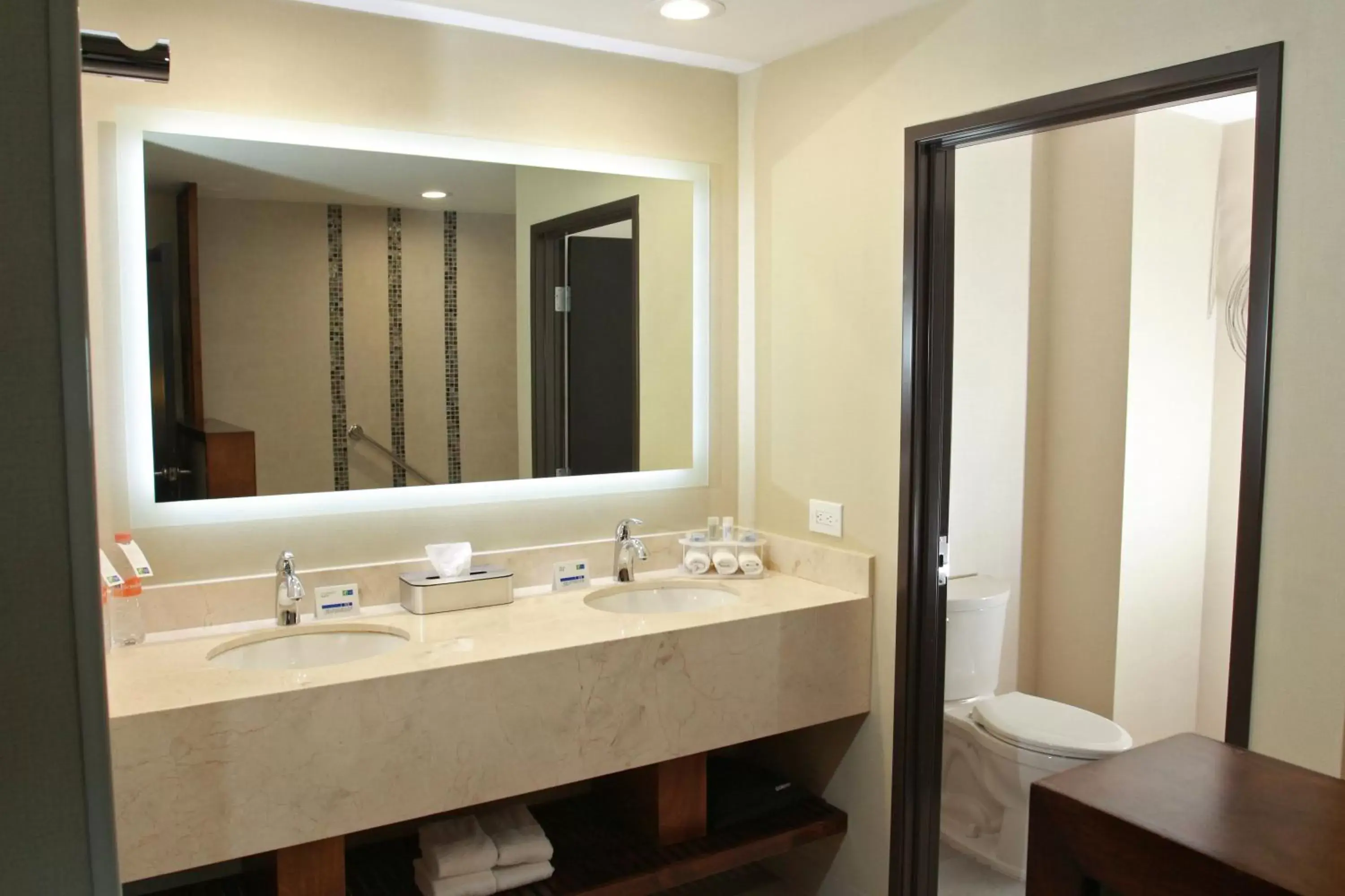 Bathroom in Holiday Inn Express & Suites Mexicali, an IHG Hotel