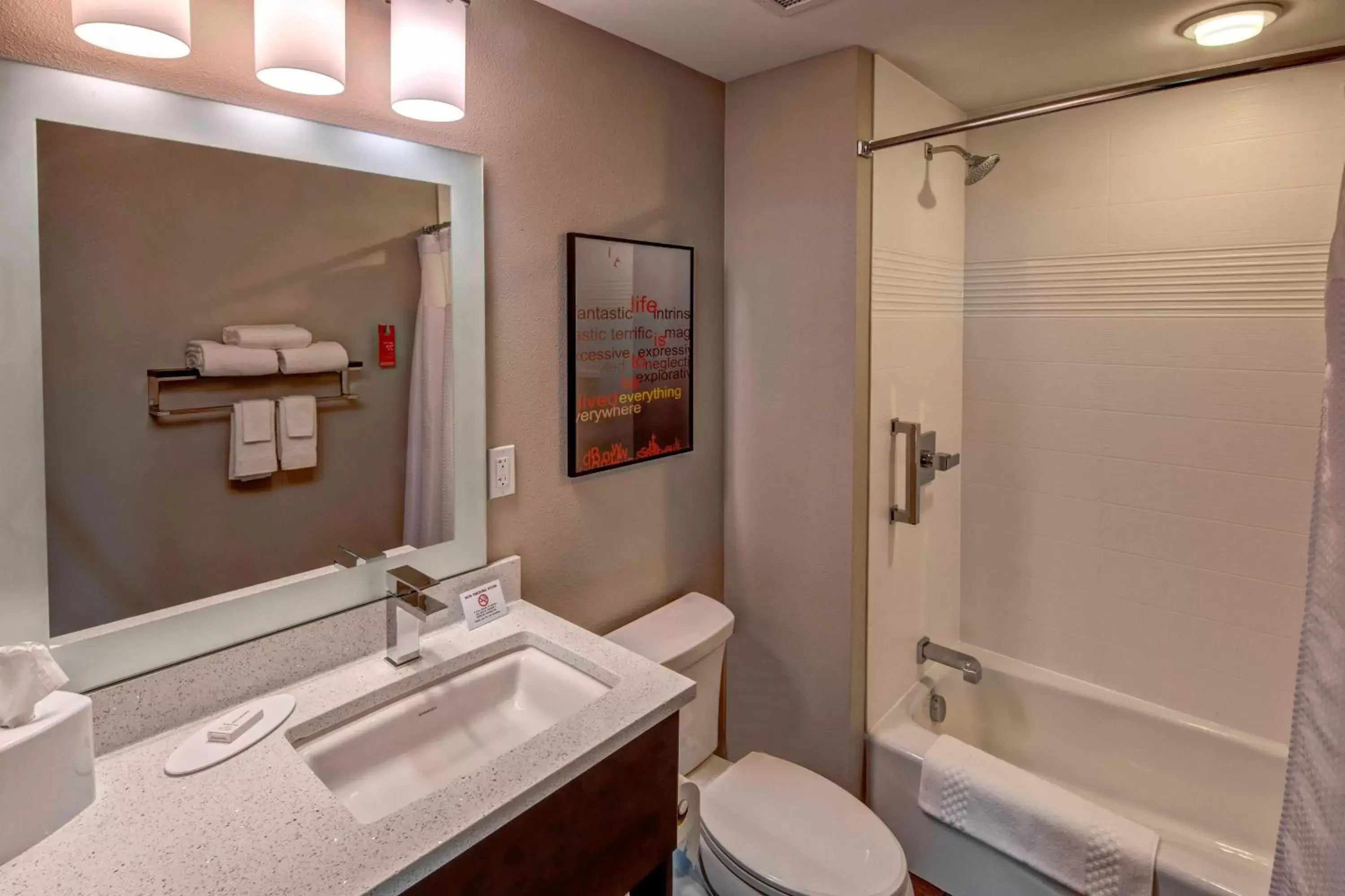 Bathroom in TownePlace Suites by Marriott Hot Springs
