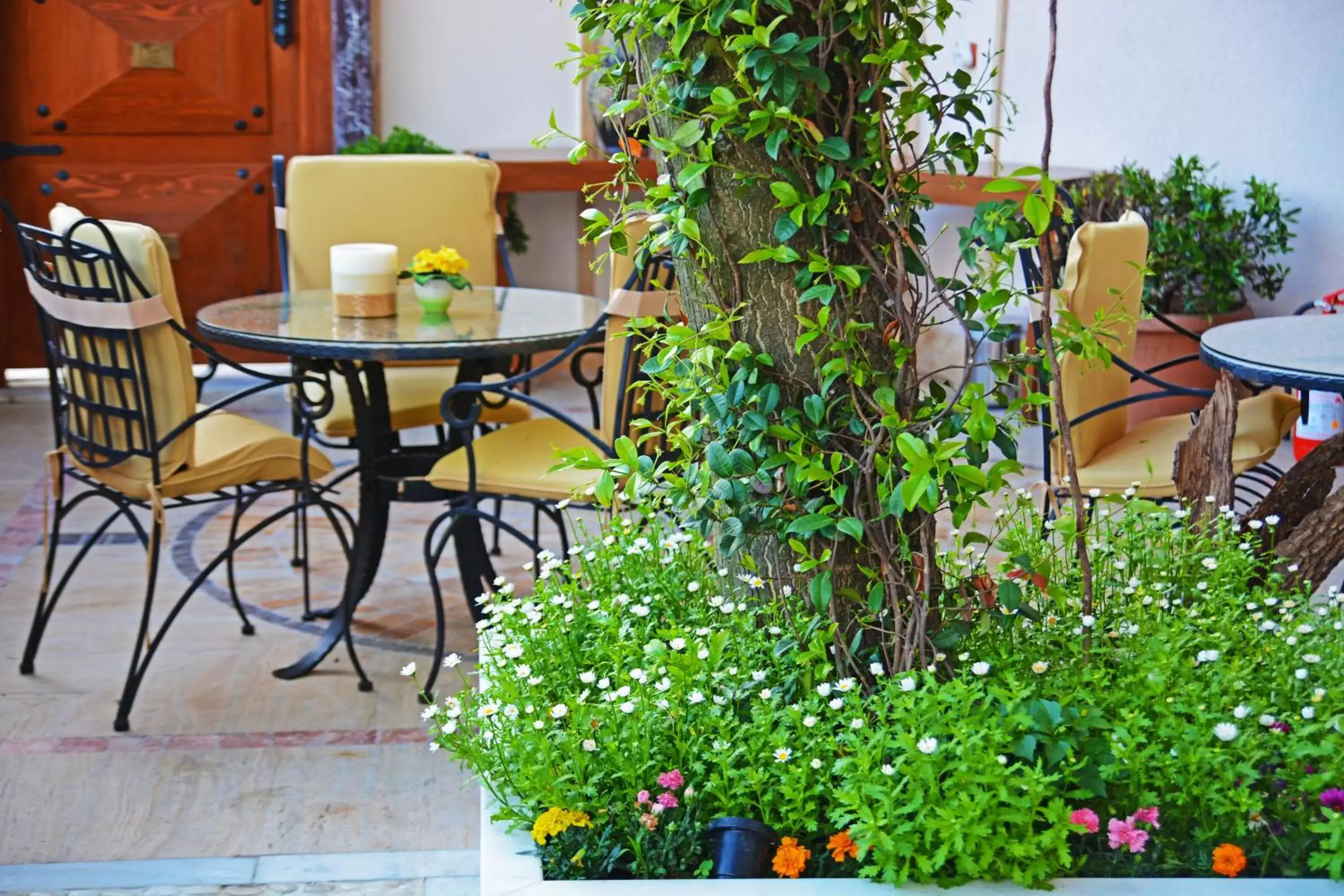 Garden in Antea Palace Hotel & Spa