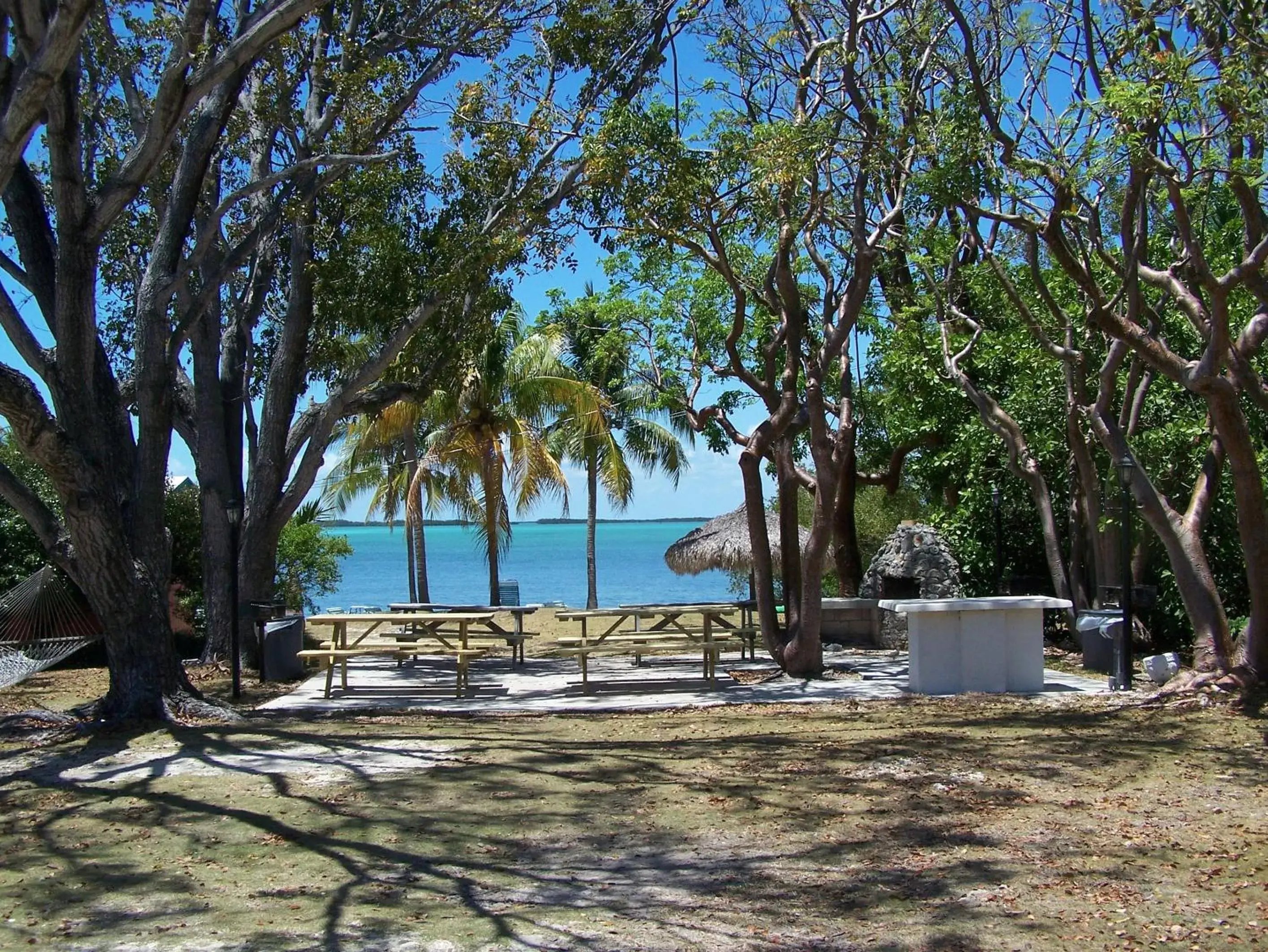 Natural landscape in Rock Reef Resort