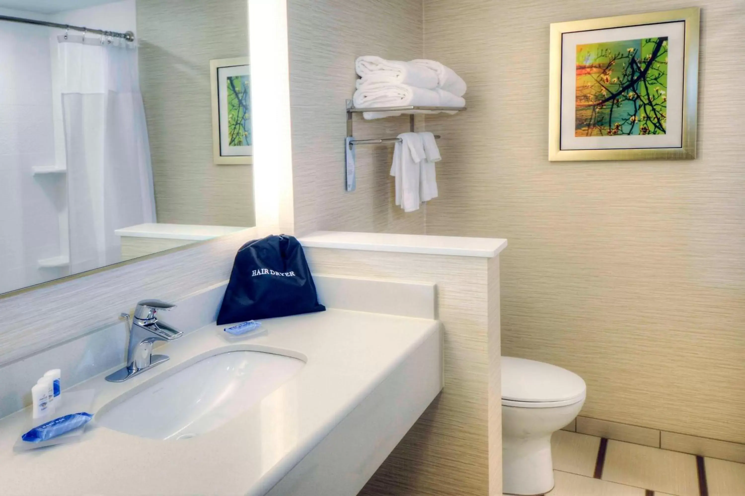 Bathroom in Fairfield Inn & Suites by Marriott Princeton