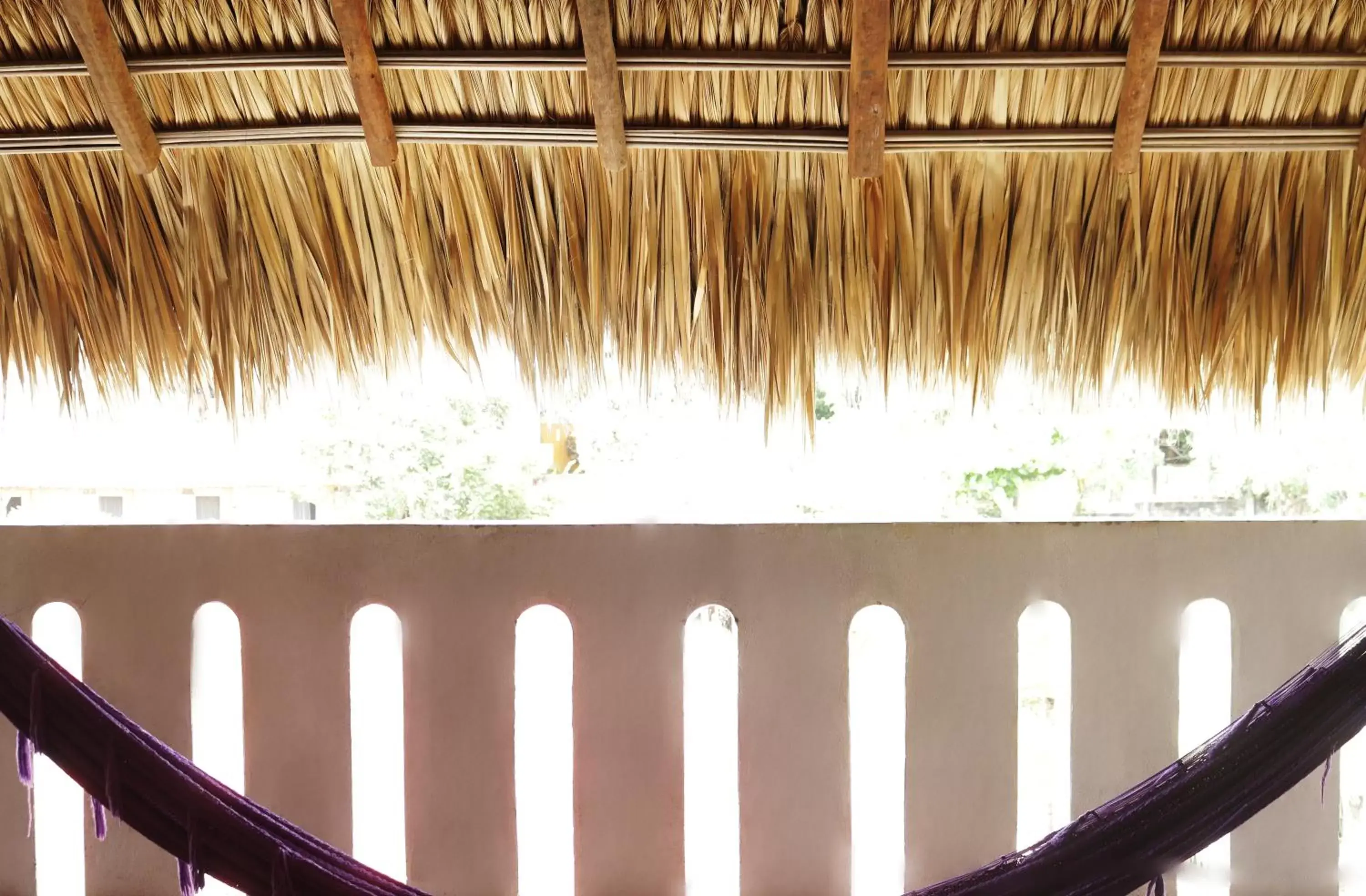 Day, Balcony/Terrace in Casa TACUBA