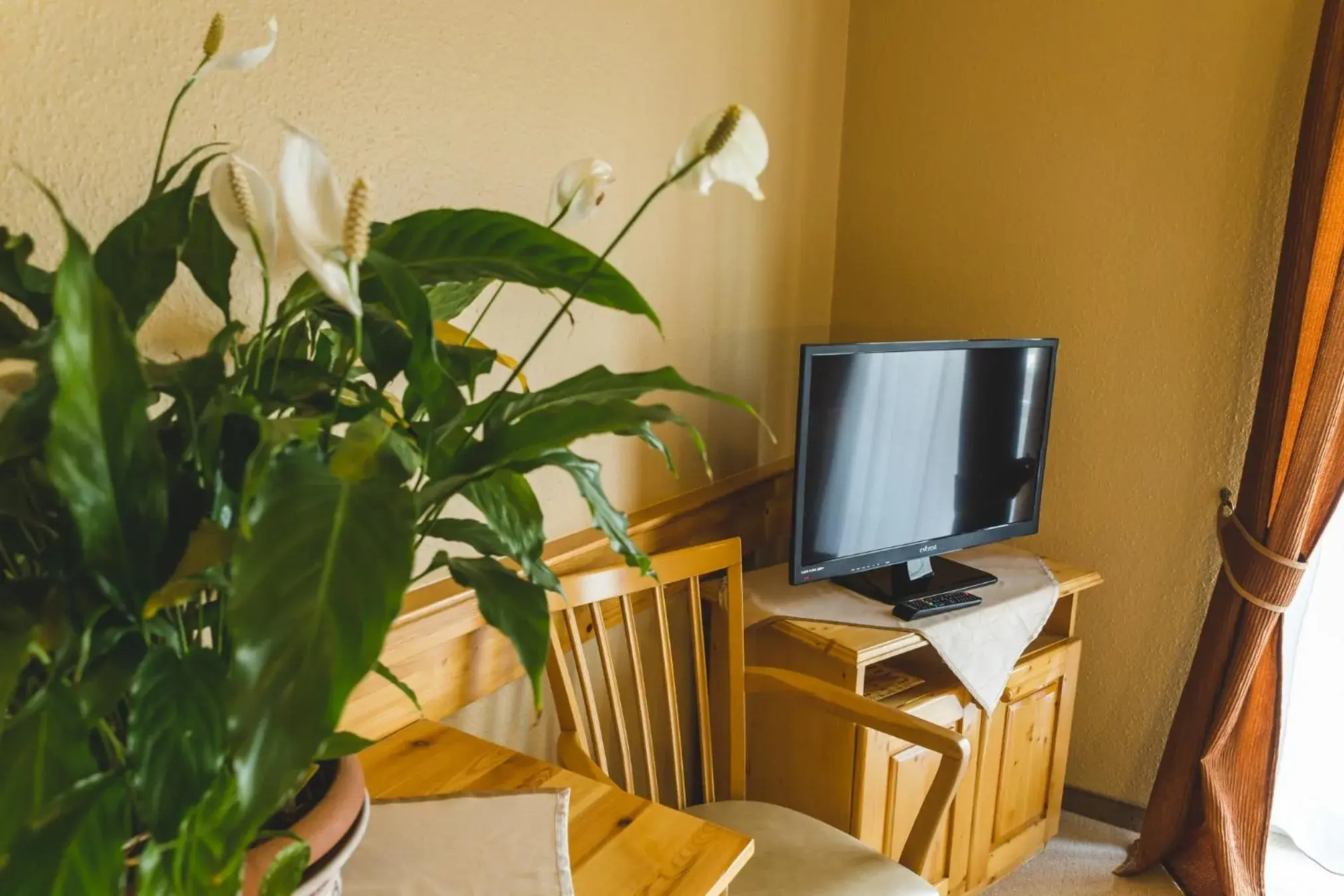 Bedroom, TV/Entertainment Center in Hotel Karin