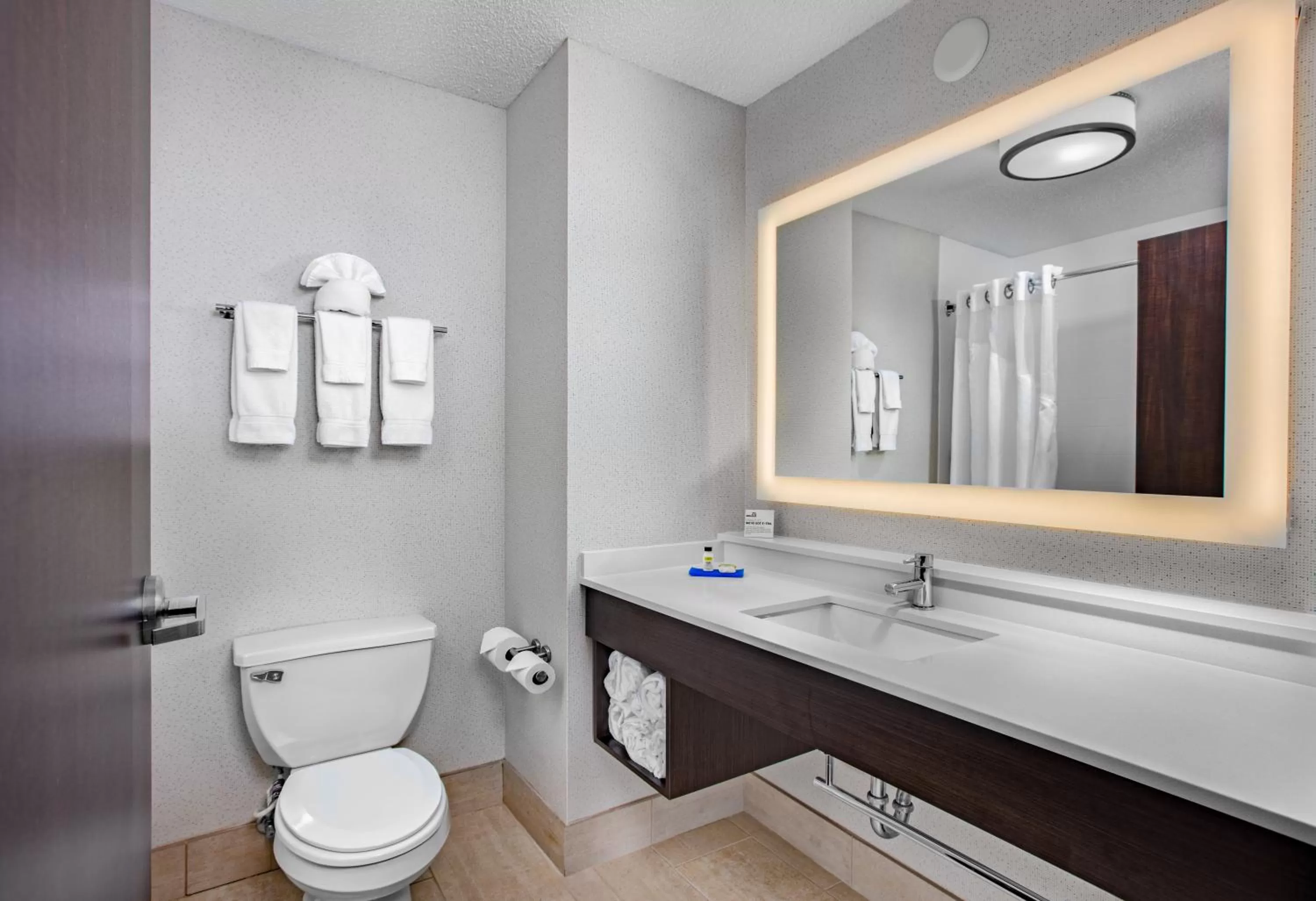 Bathroom in Holiday Inn Express Hotel & Suites Altoona-Des Moines by IHG