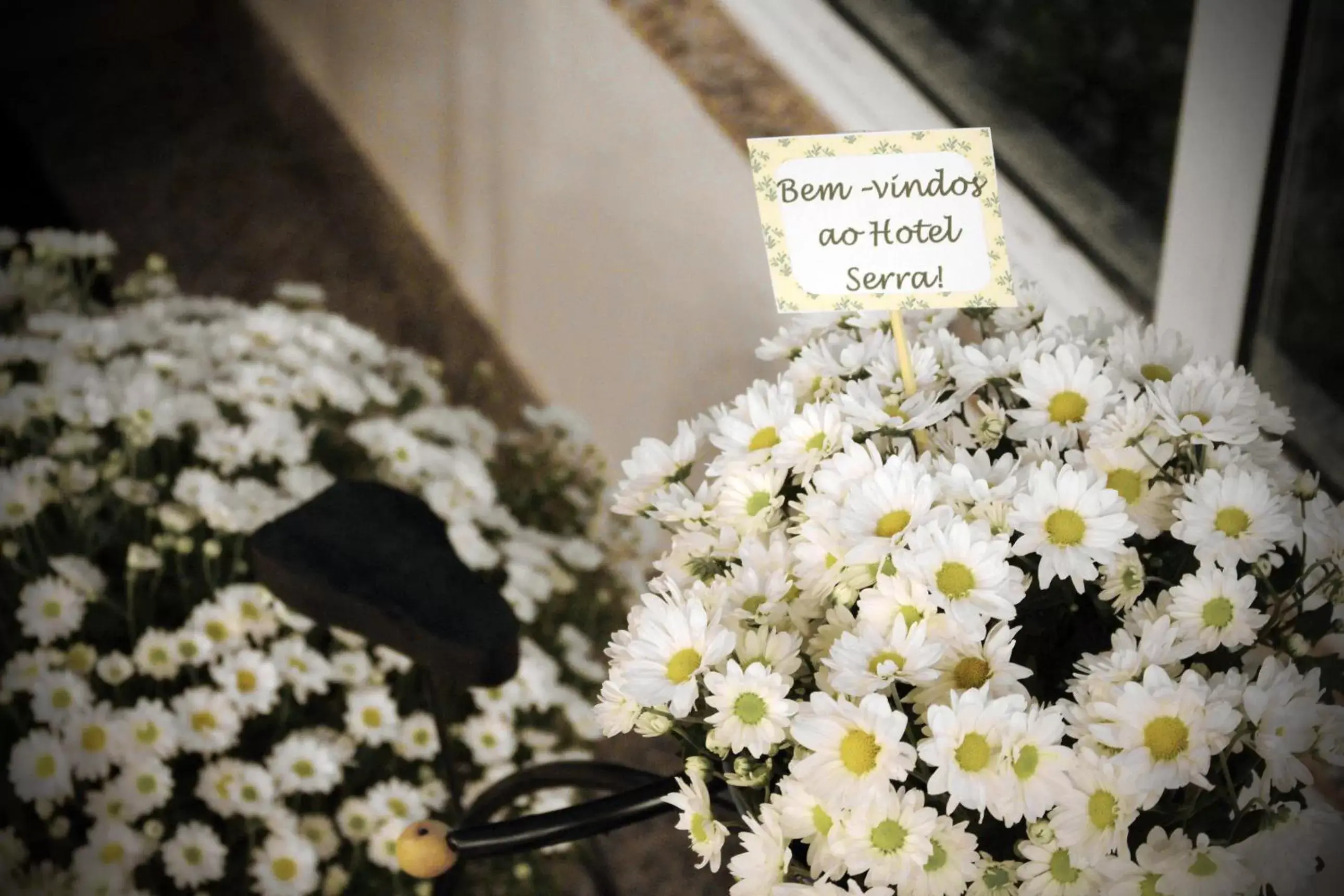 Lobby or reception in Hotel Serra de Jundiaí Lobby or reception in Hotel Serra de Jundiaí
