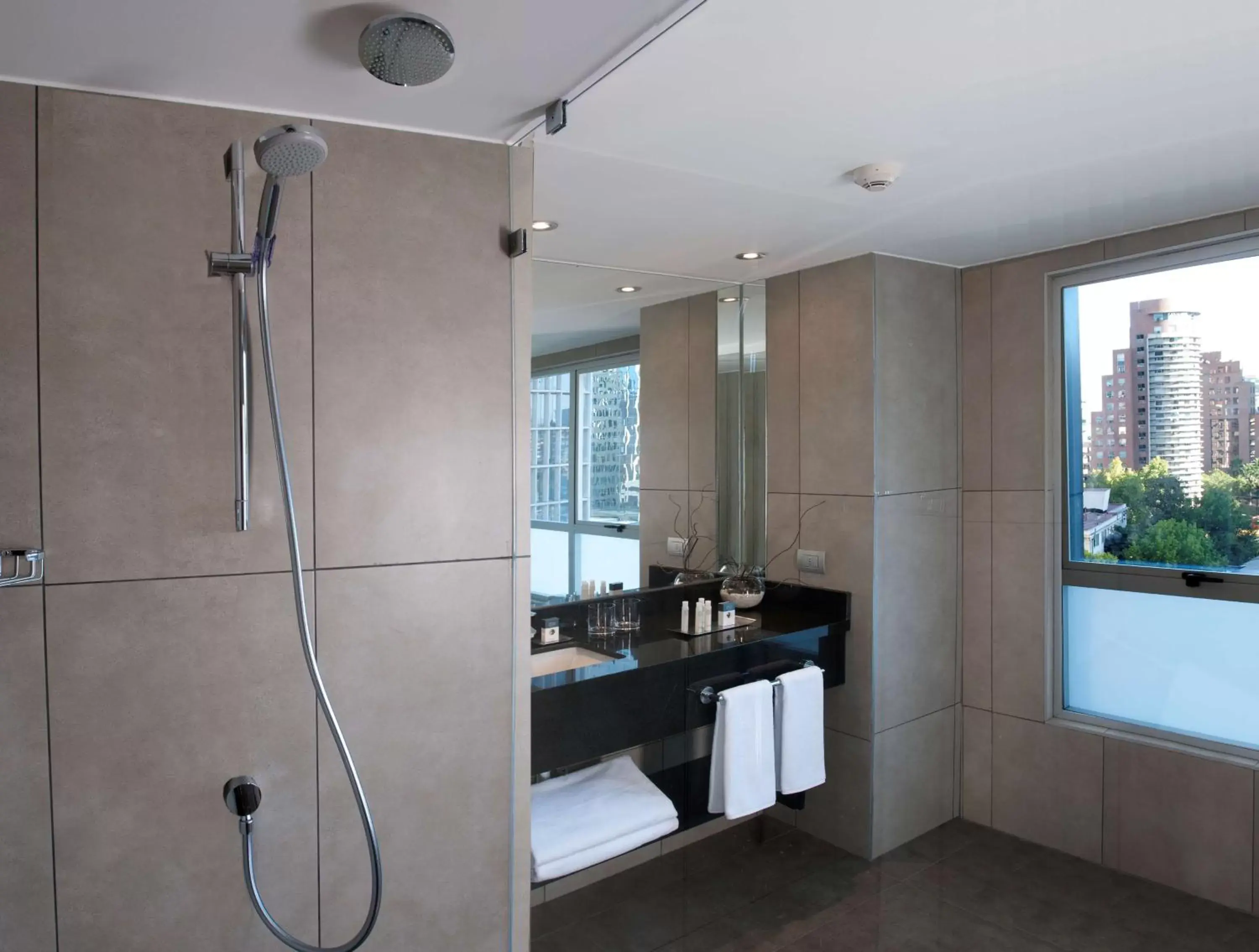 Bathroom, Kitchen/Kitchenette in DoubleTree by Hilton Santiago - Vitacura