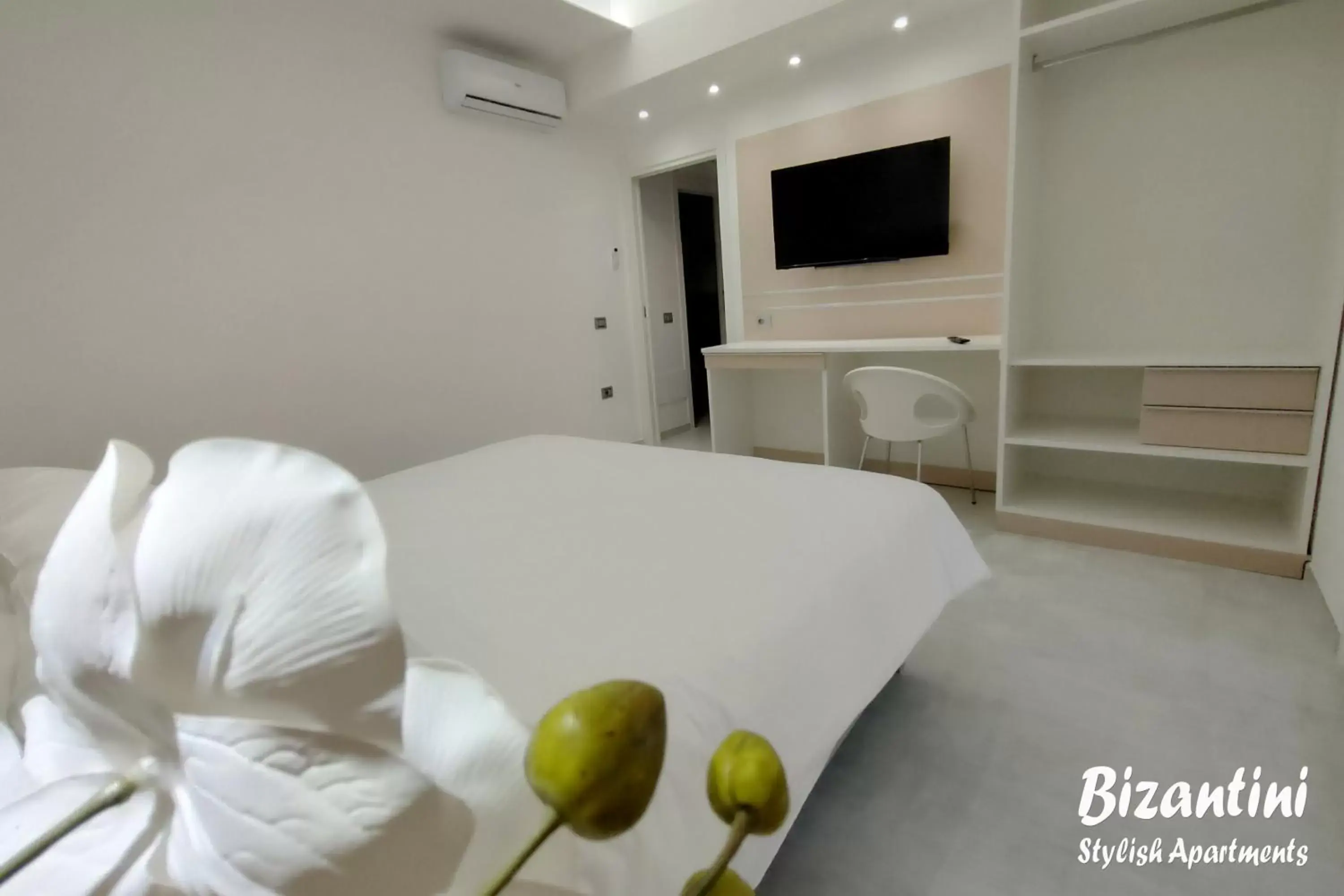 TV and multimedia in Bizantini Tropea