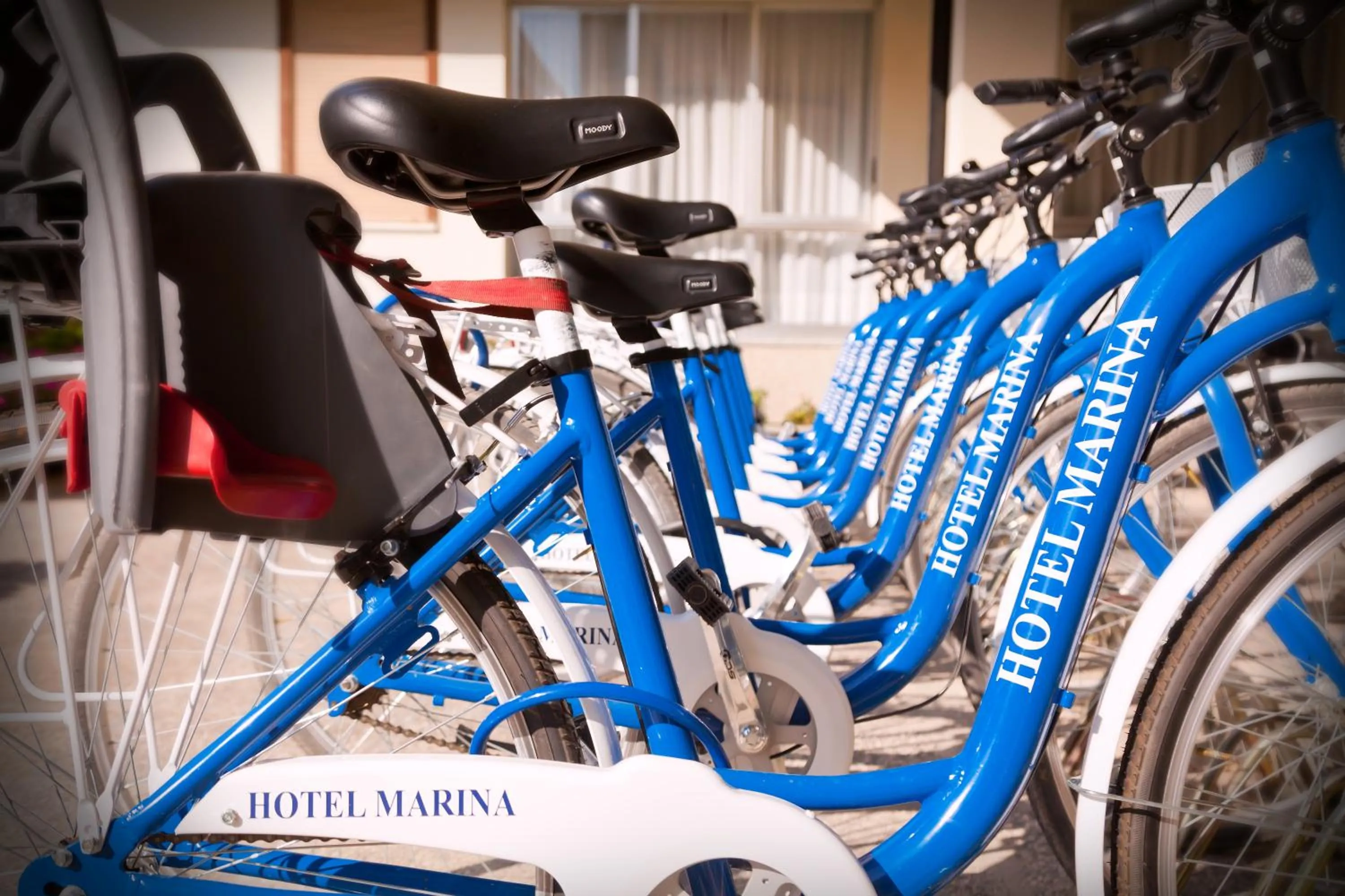 Activities in Marina Palace Hotel 4 stelle S