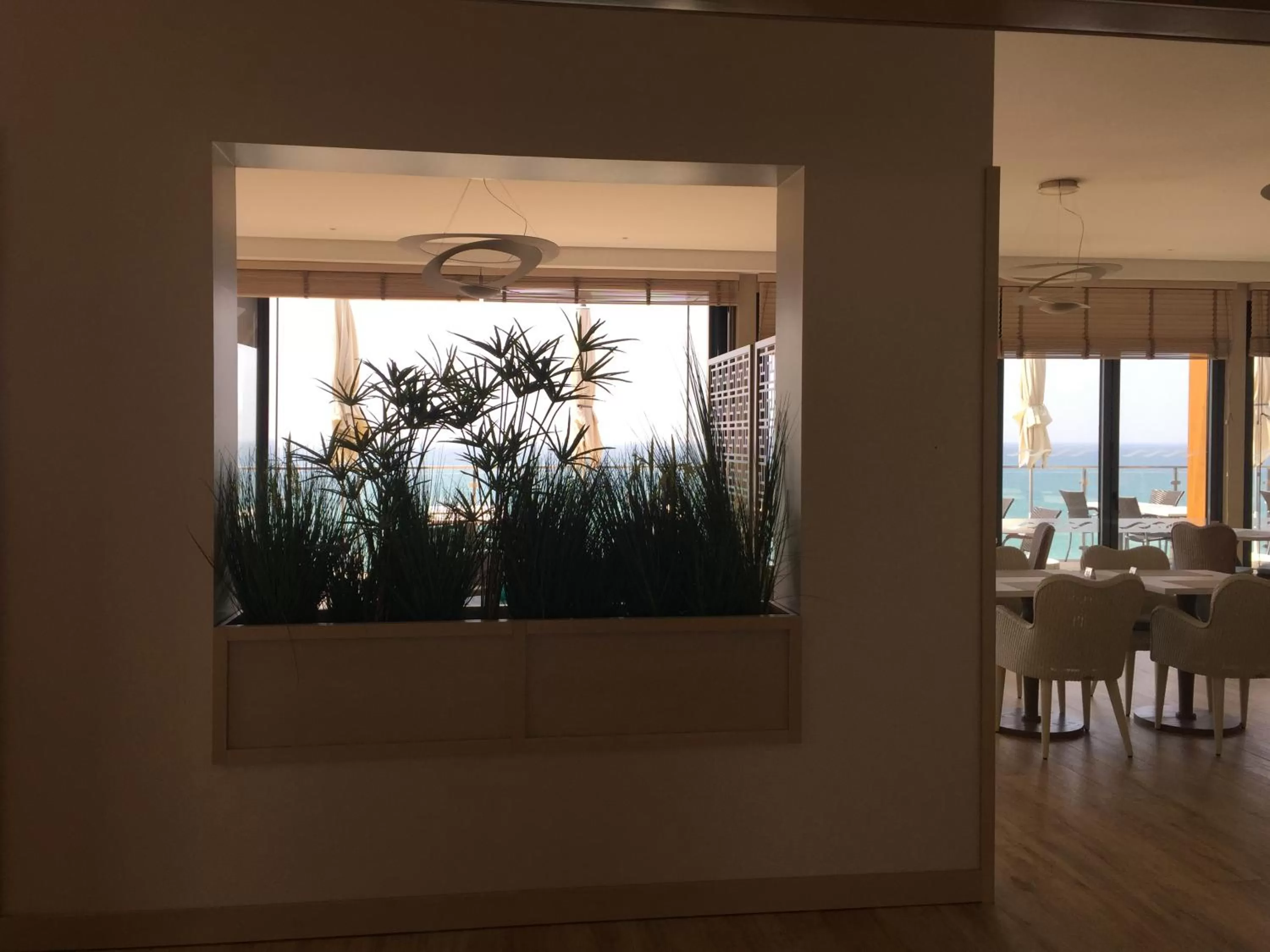 Restaurant/places to eat in Alisios