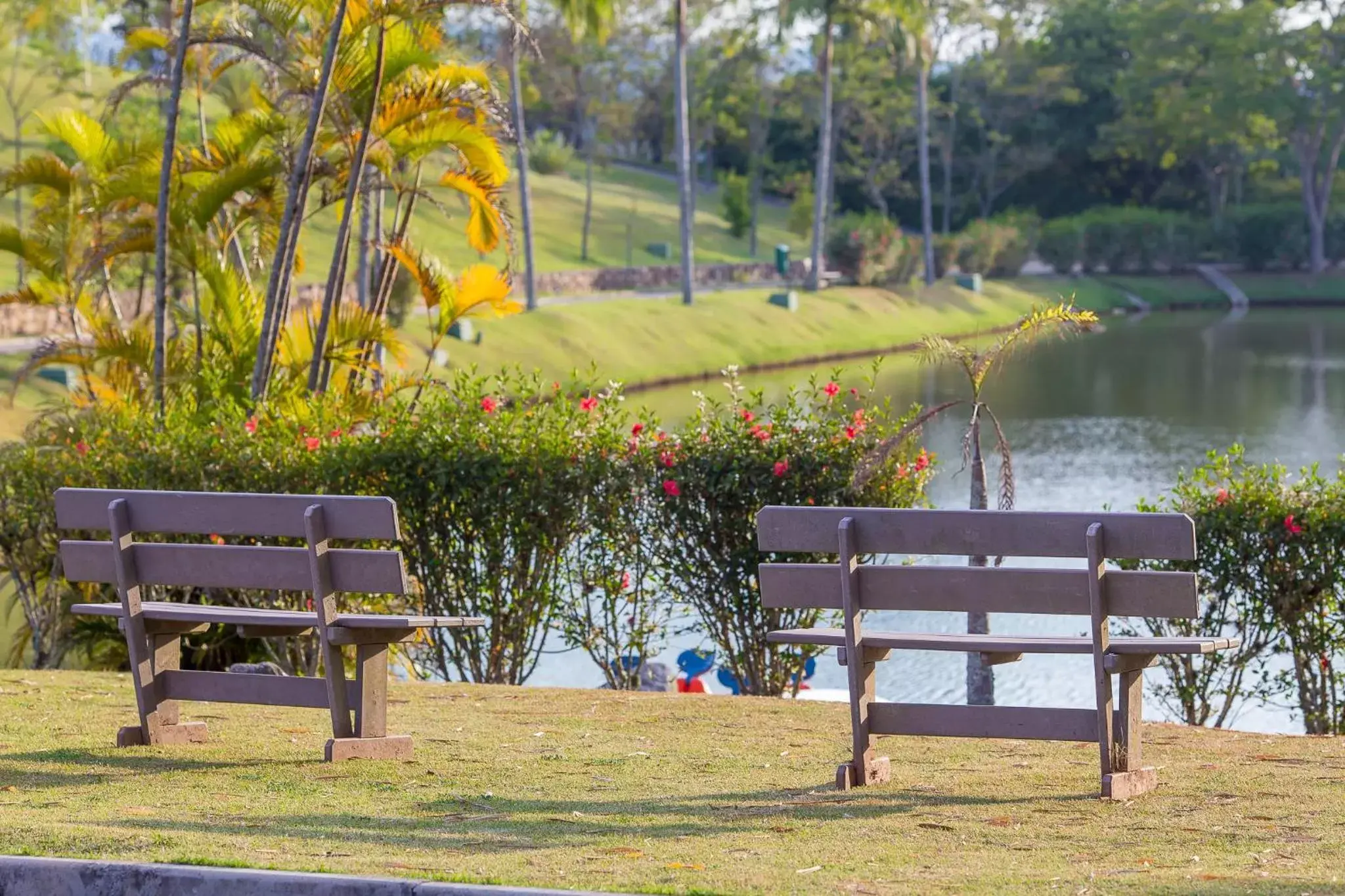 Area and facilities in Hotel Villa Rossa Area and facilities in Hotel Villa Rossa