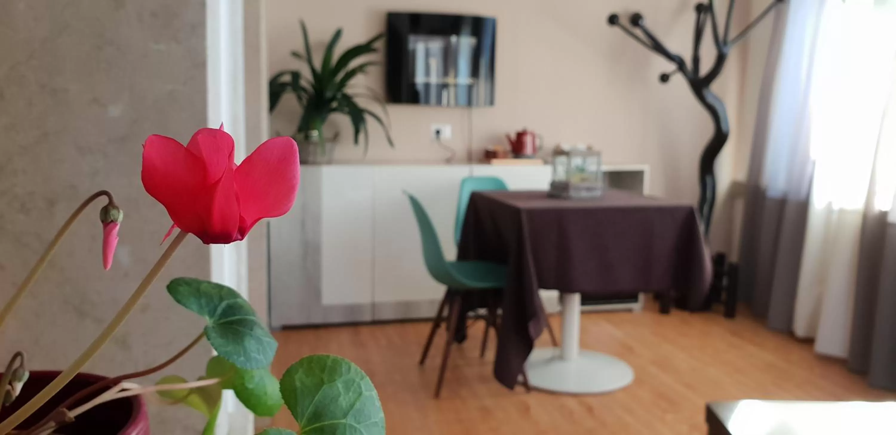 Dining area in Casa Lady