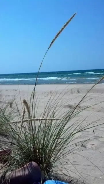 Beach in Ludington Pier House