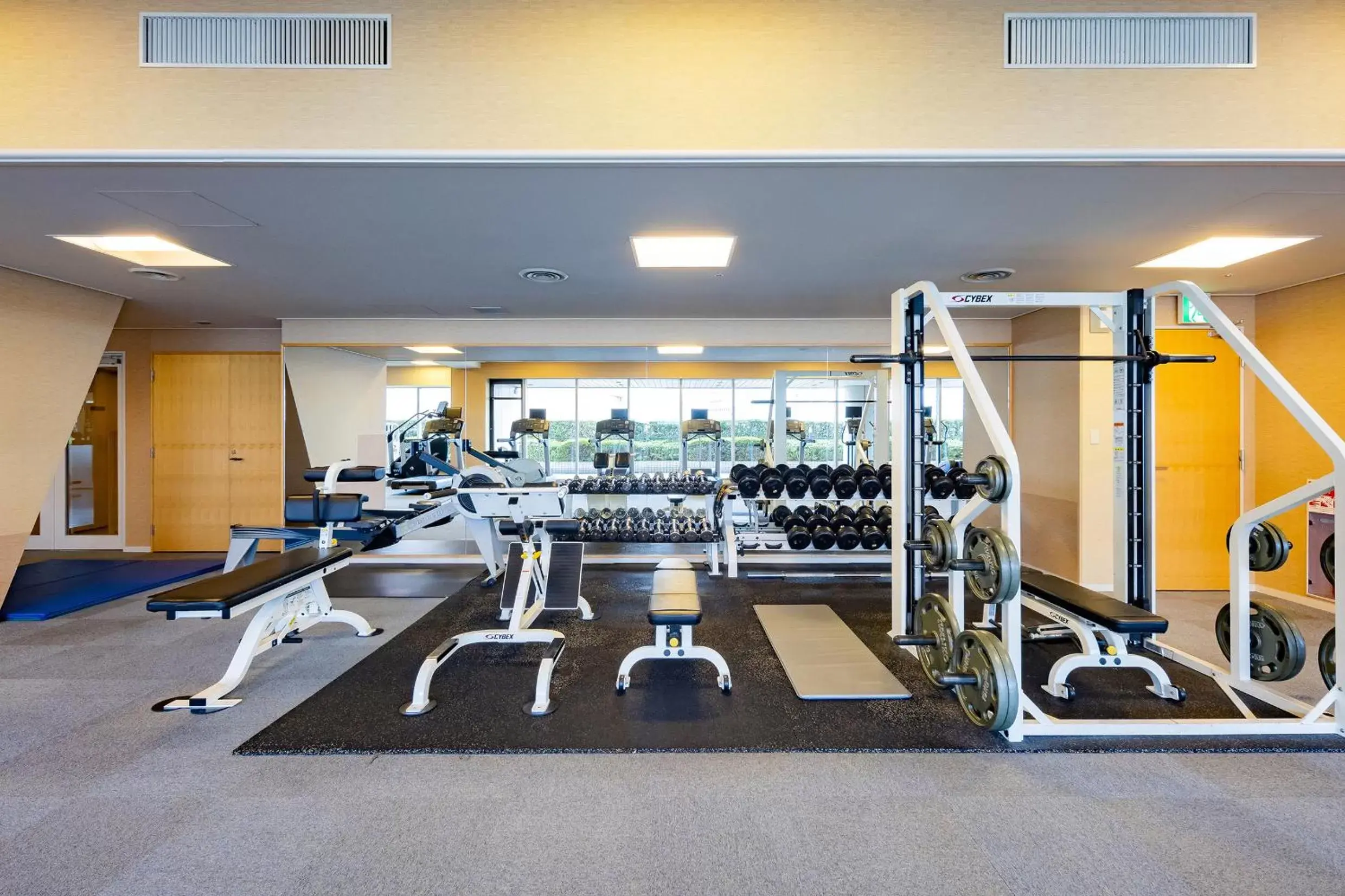 Fitness centre/facilities, Fitness Center/Facilities in Swissotel Nankai Osaka