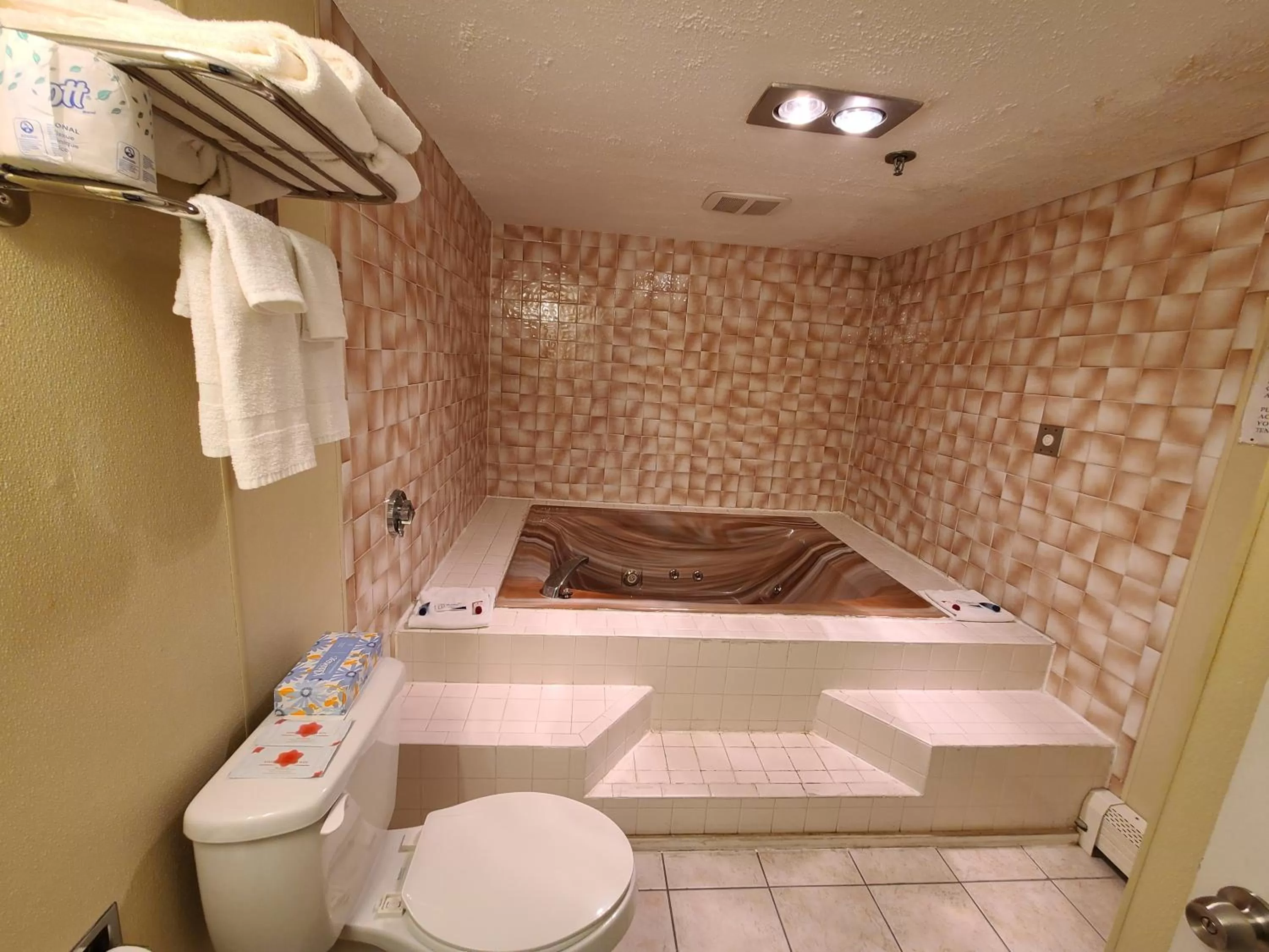 Toilet in Hampton Village Inn