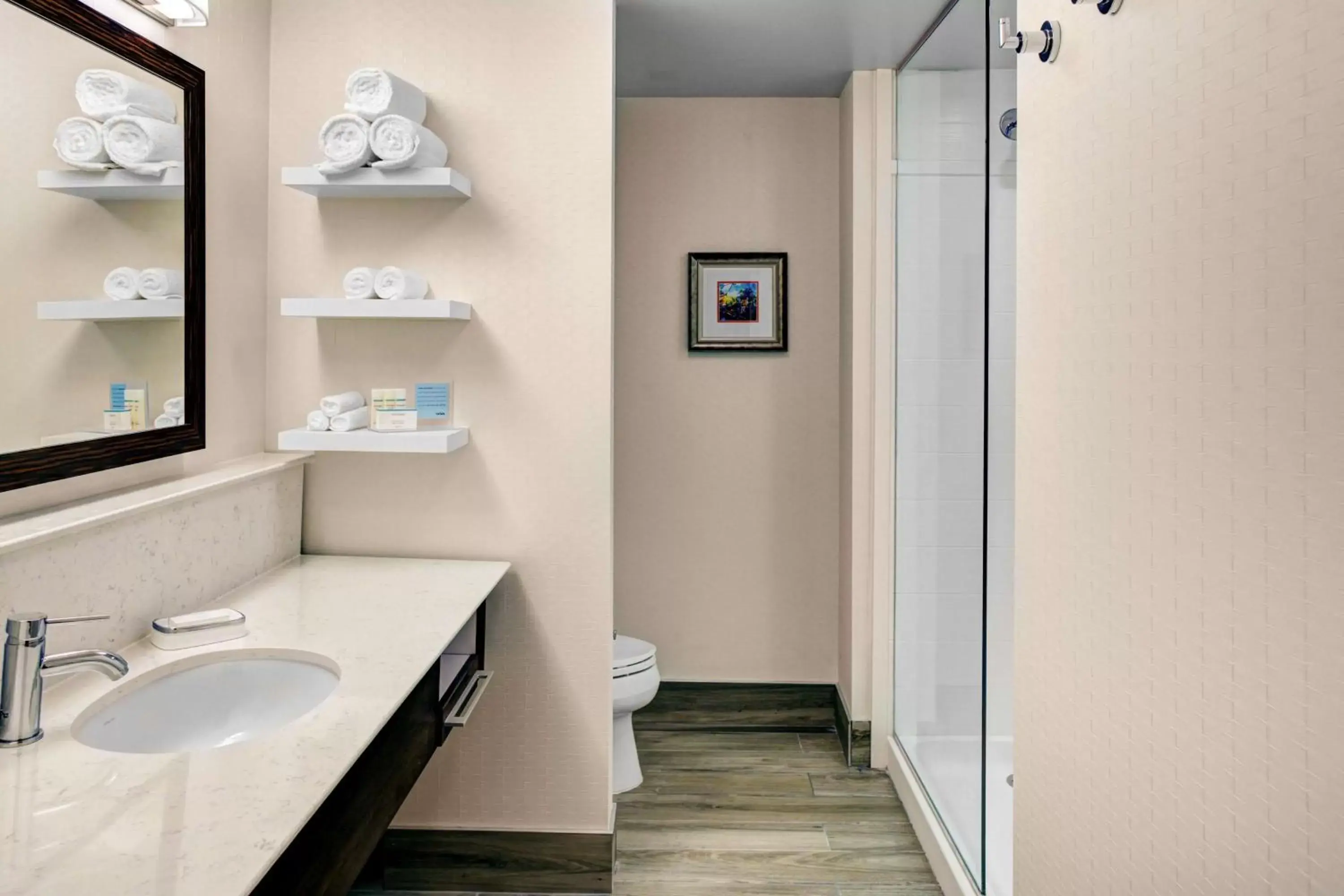 Bathroom in Hampton Inn & Suites by Hilton Atlanta Perimeter Dunwoody