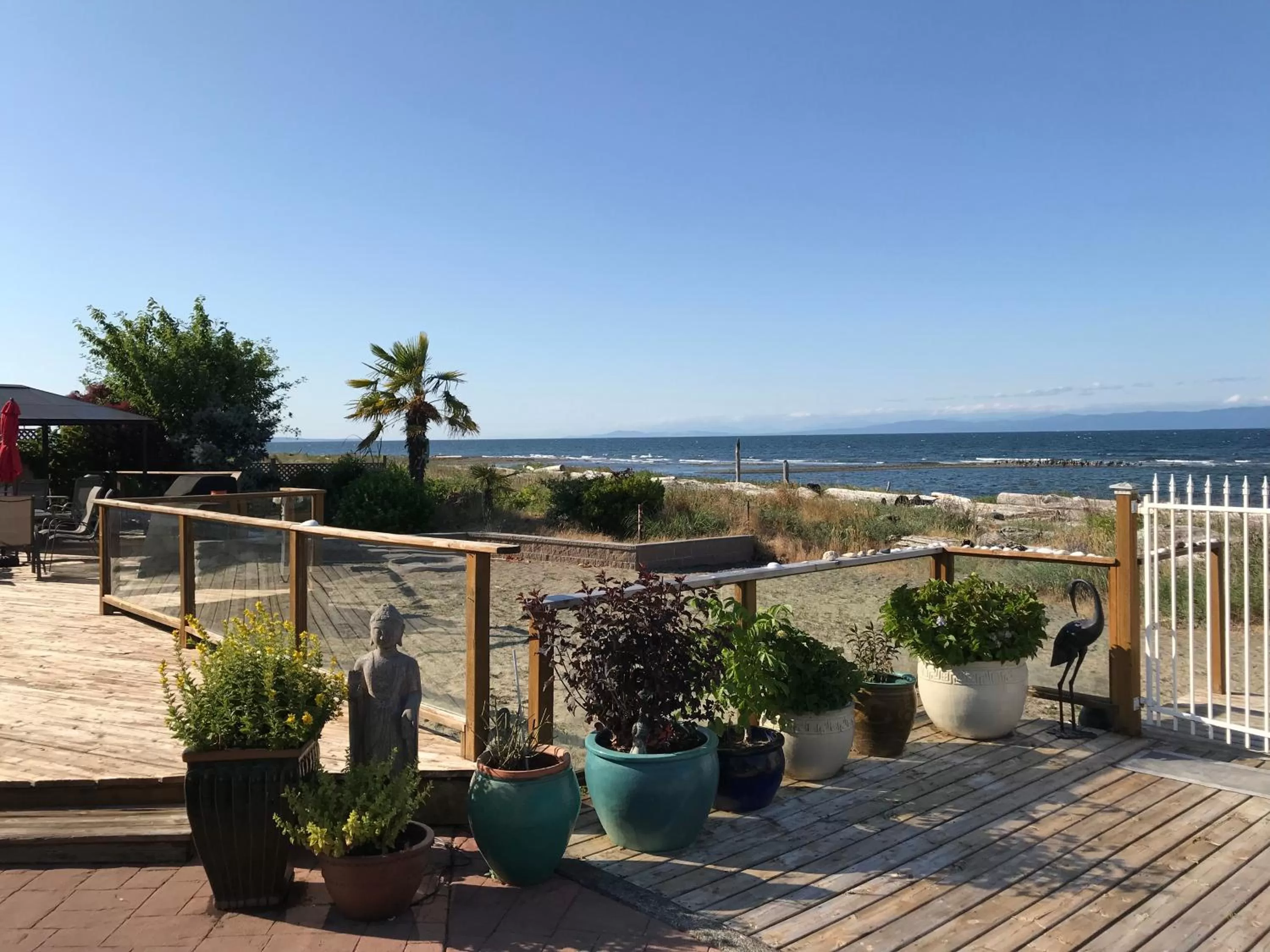 Buena Vista by the Sea