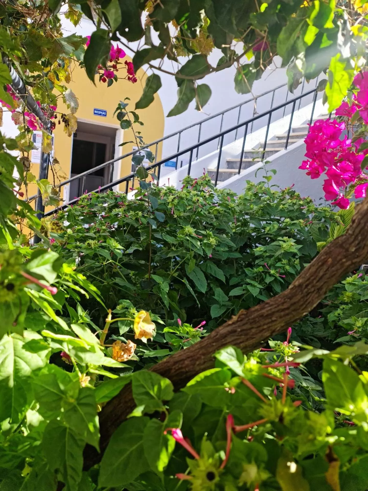 Alojamento Local Largo da Igreja