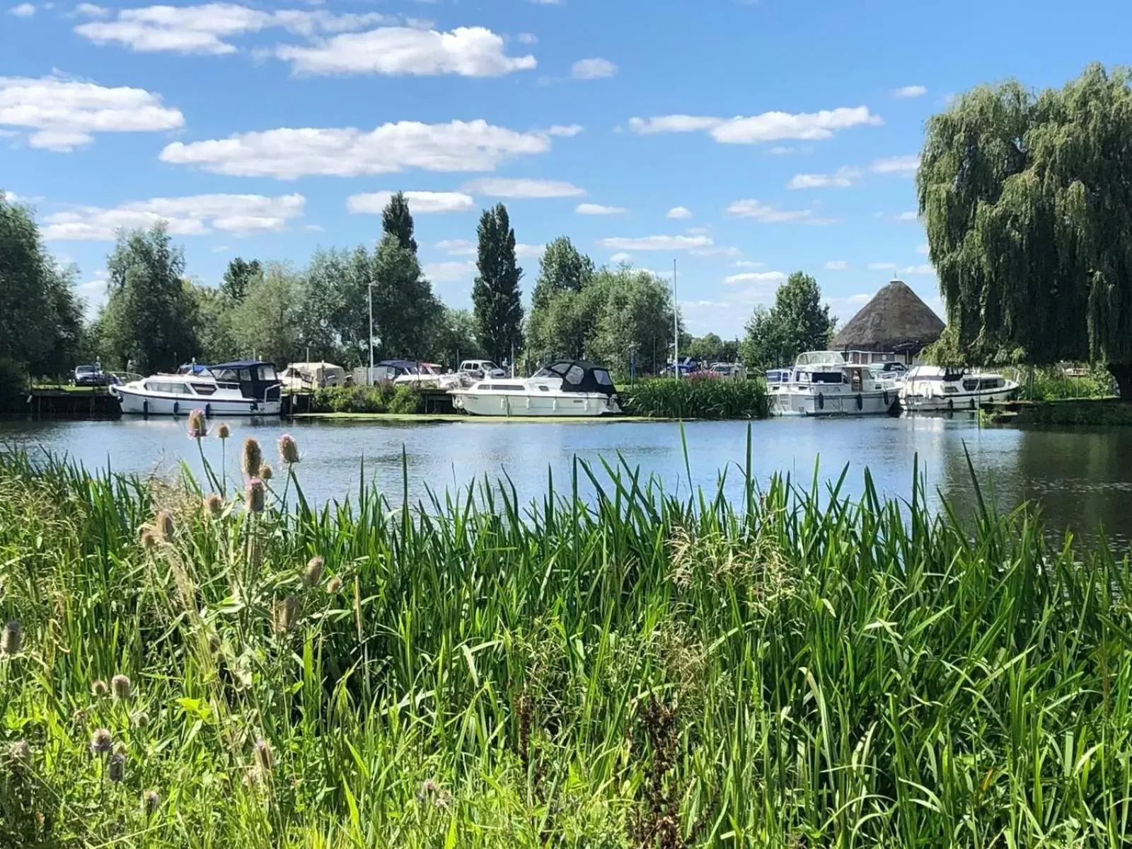 Garden in Pike and Eel Hotel and Marina