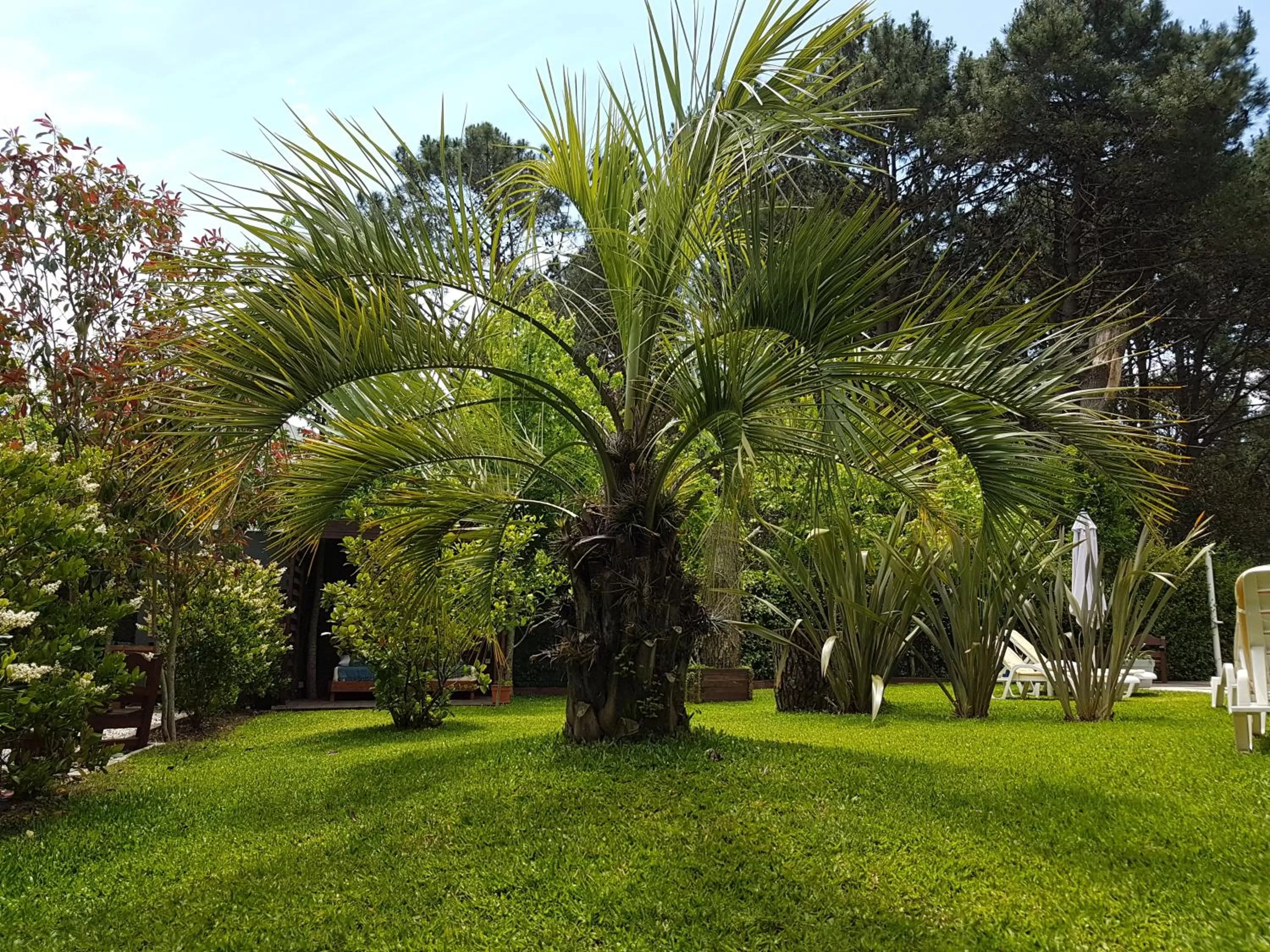 Garden in Undarius Hotel (exclusively gay men)
