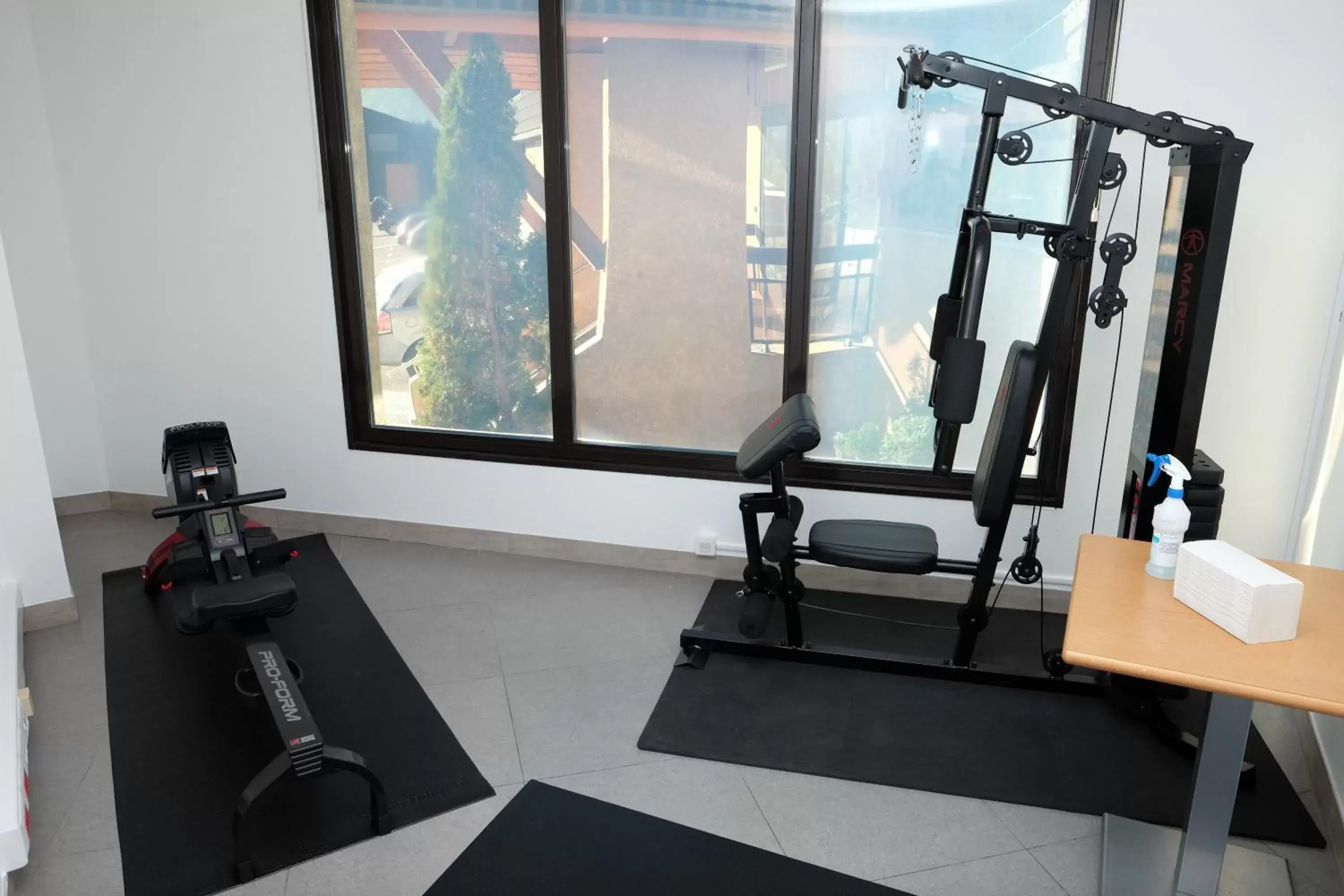 Fitness centre/facilities, Fitness Center/Facilities in Suite Home Briancon Serre Chevalier