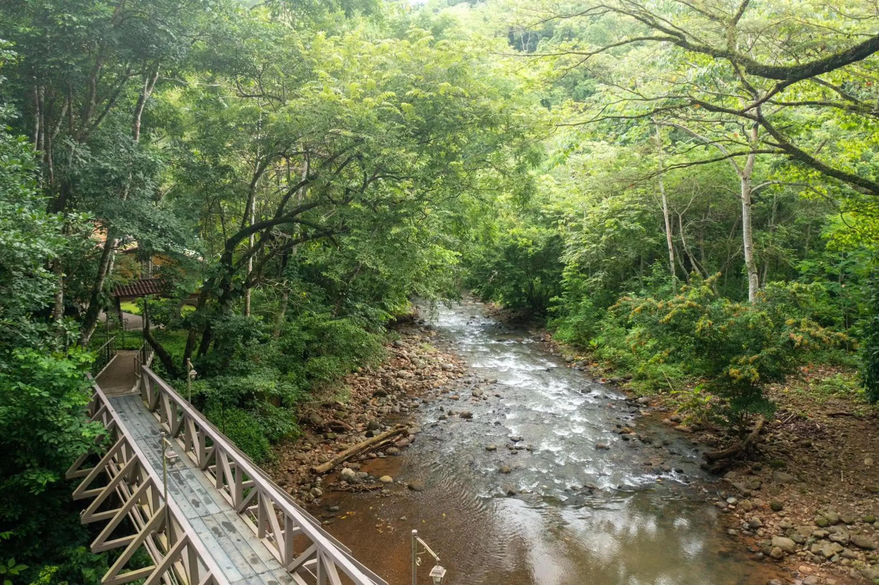 Natural landscape in Villa Lapas Jungle Village