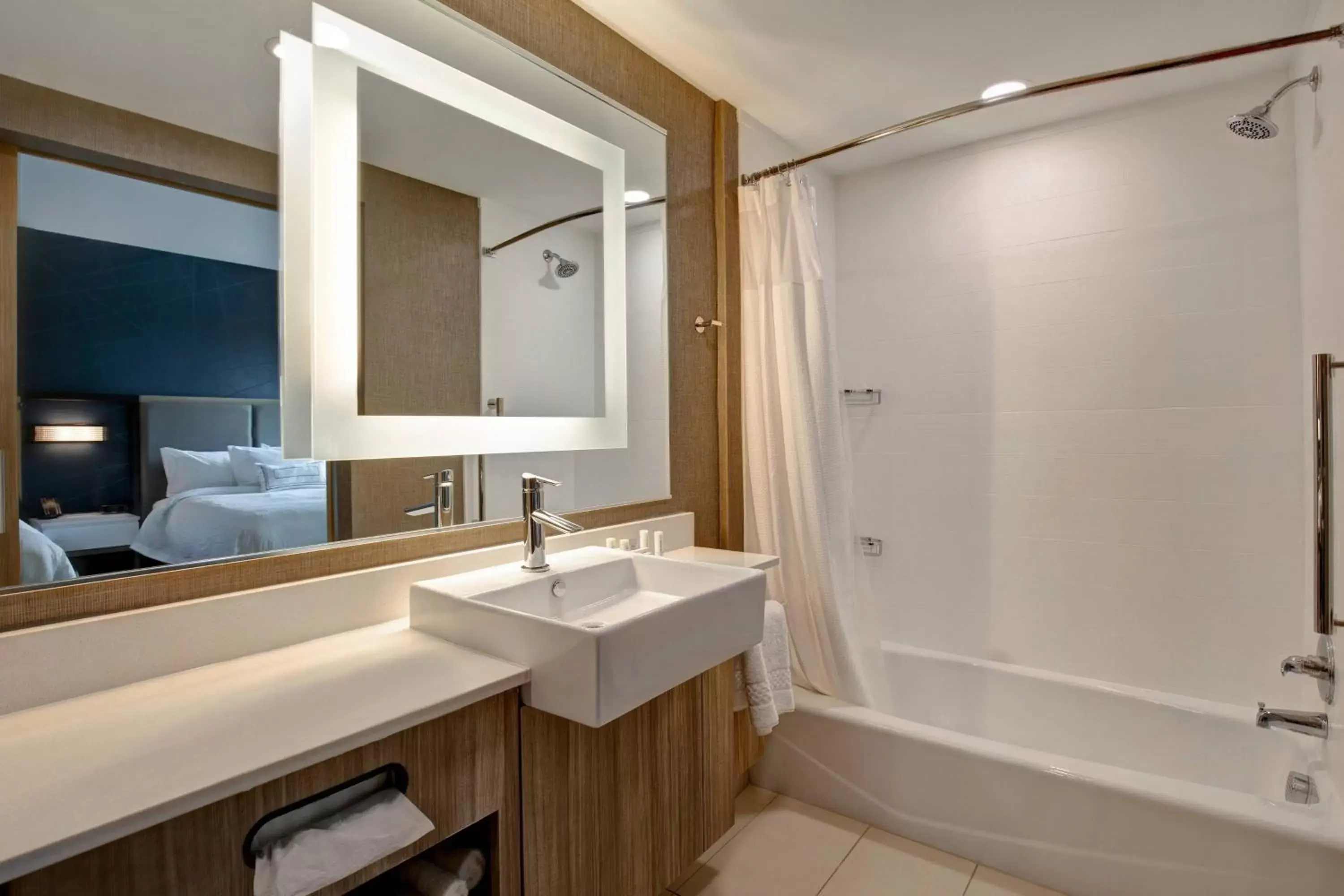 Bathroom in SpringHill Suites by Marriott Orangeburg