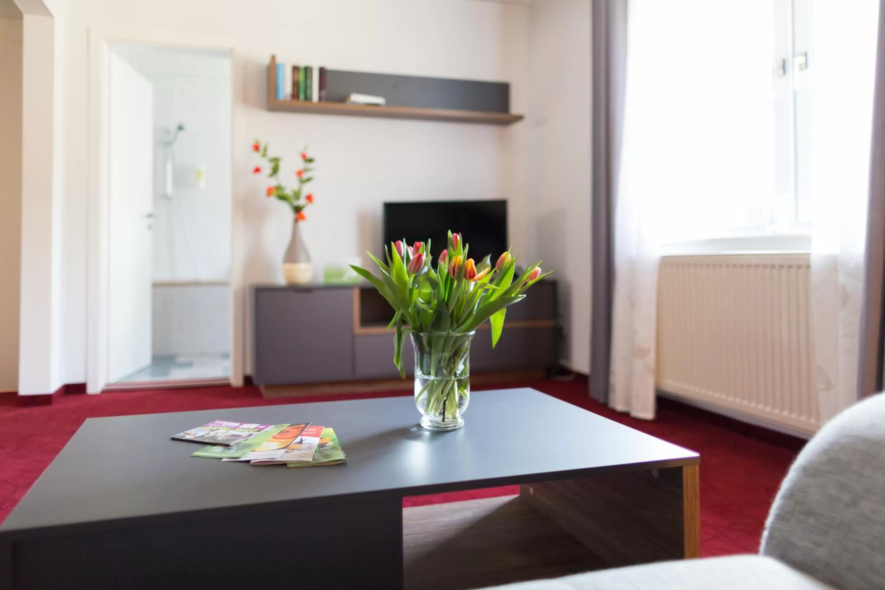 TV and multimedia in Sporthotel Wernigerode