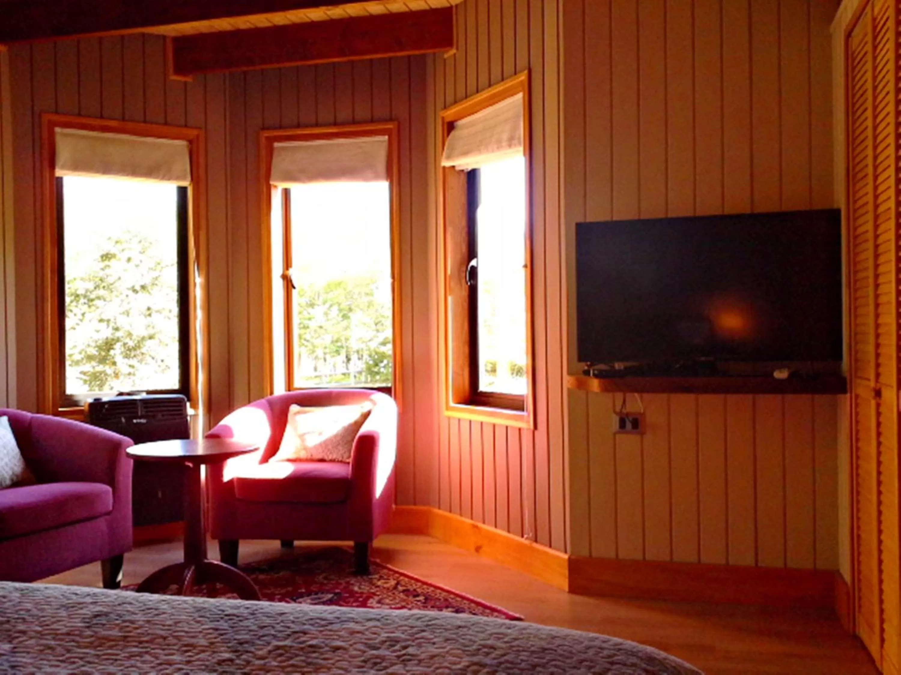 Living room, Lounge/Bar in Hotel Salto del Carileufu