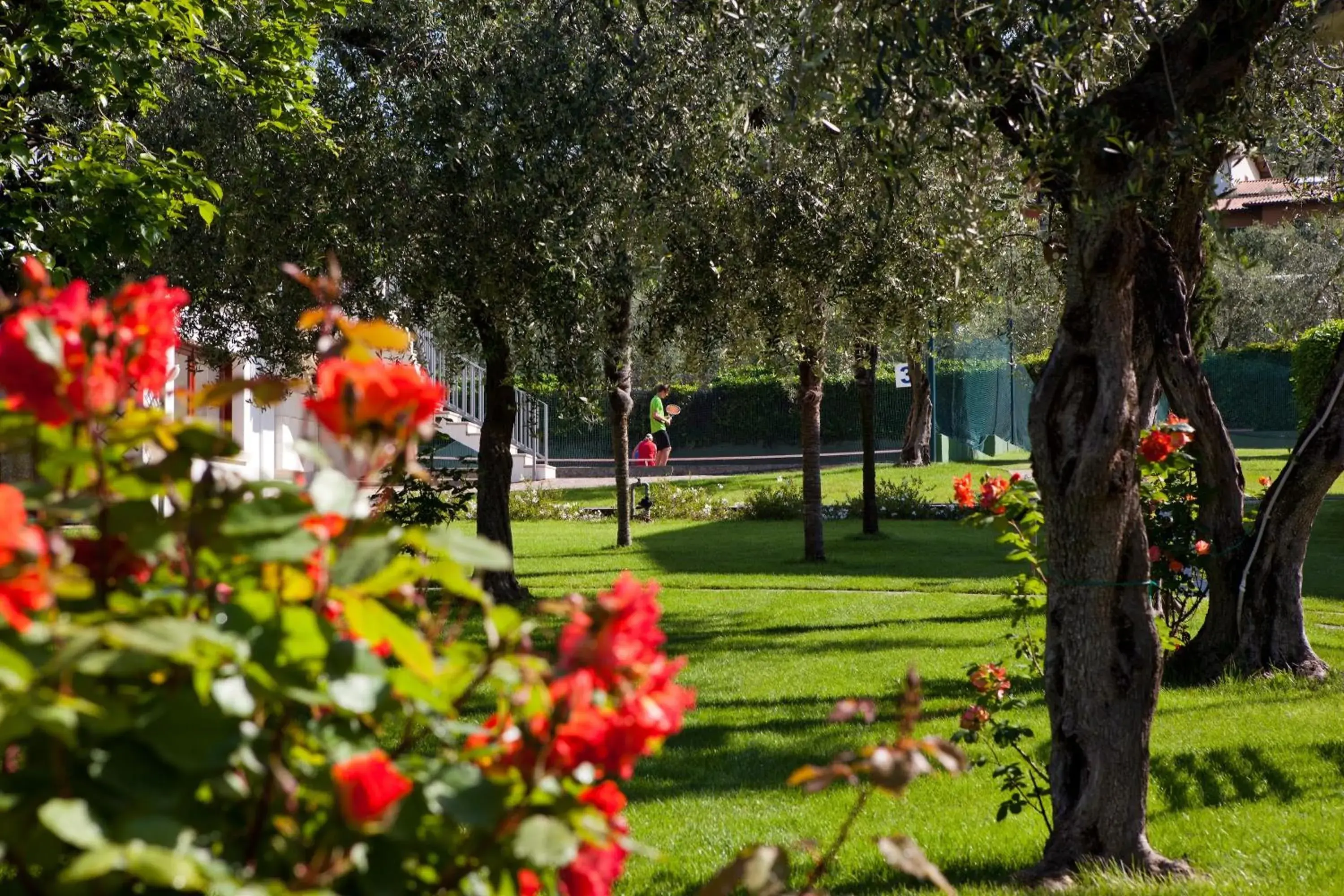 Garden in Club Hotel Olivi - Tennis Center