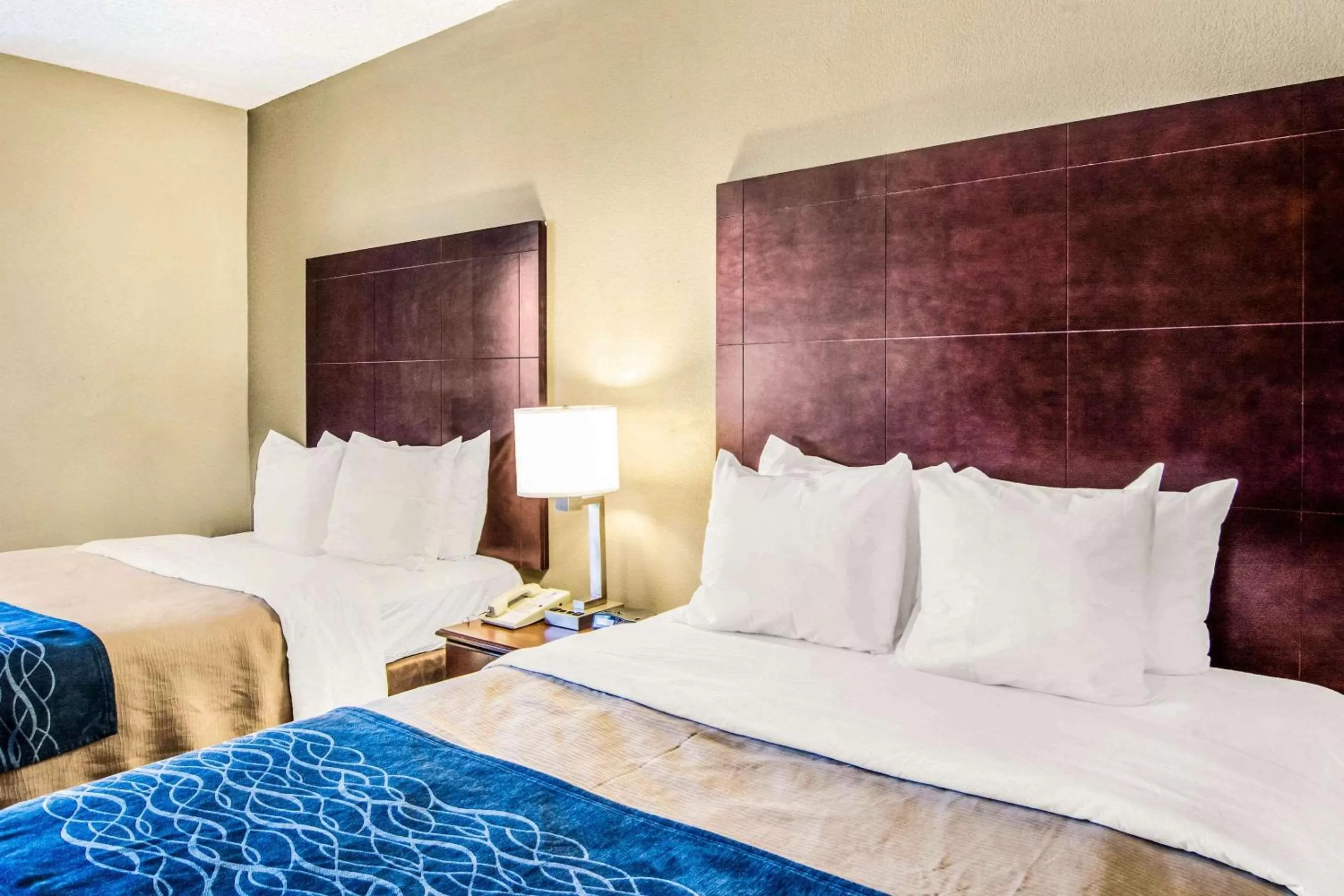 Photo of the whole room, Bed in Comfort Inn Atlanta Downtown South